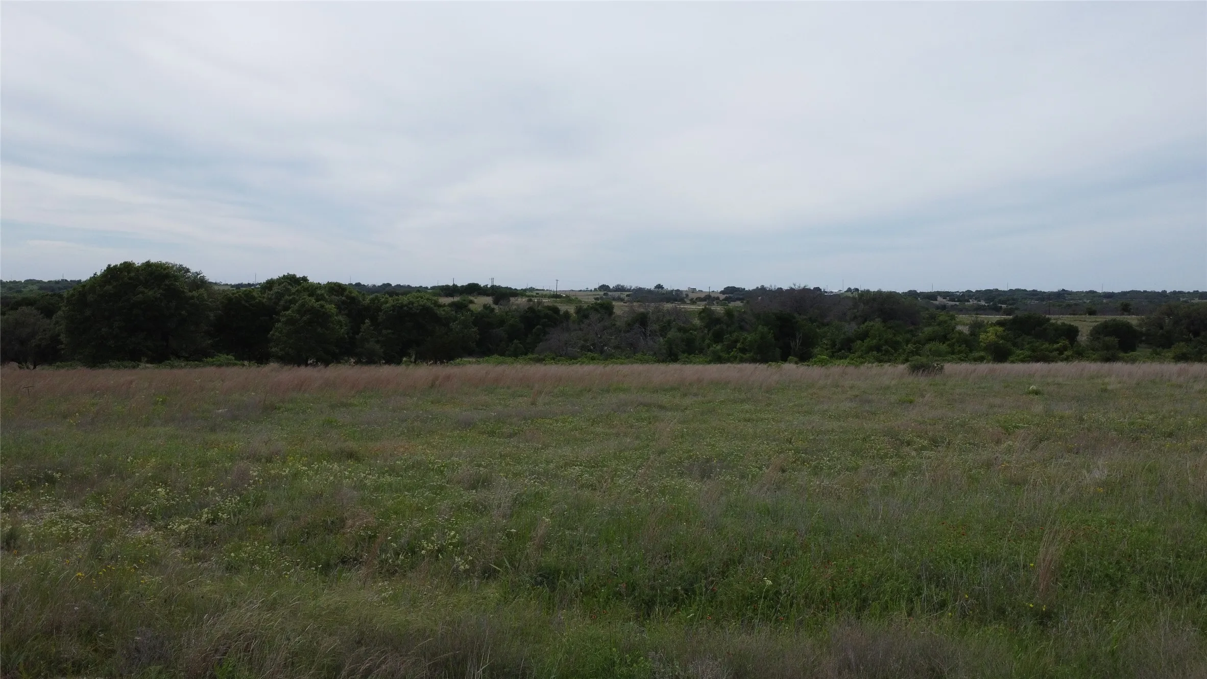 Open pasture in front