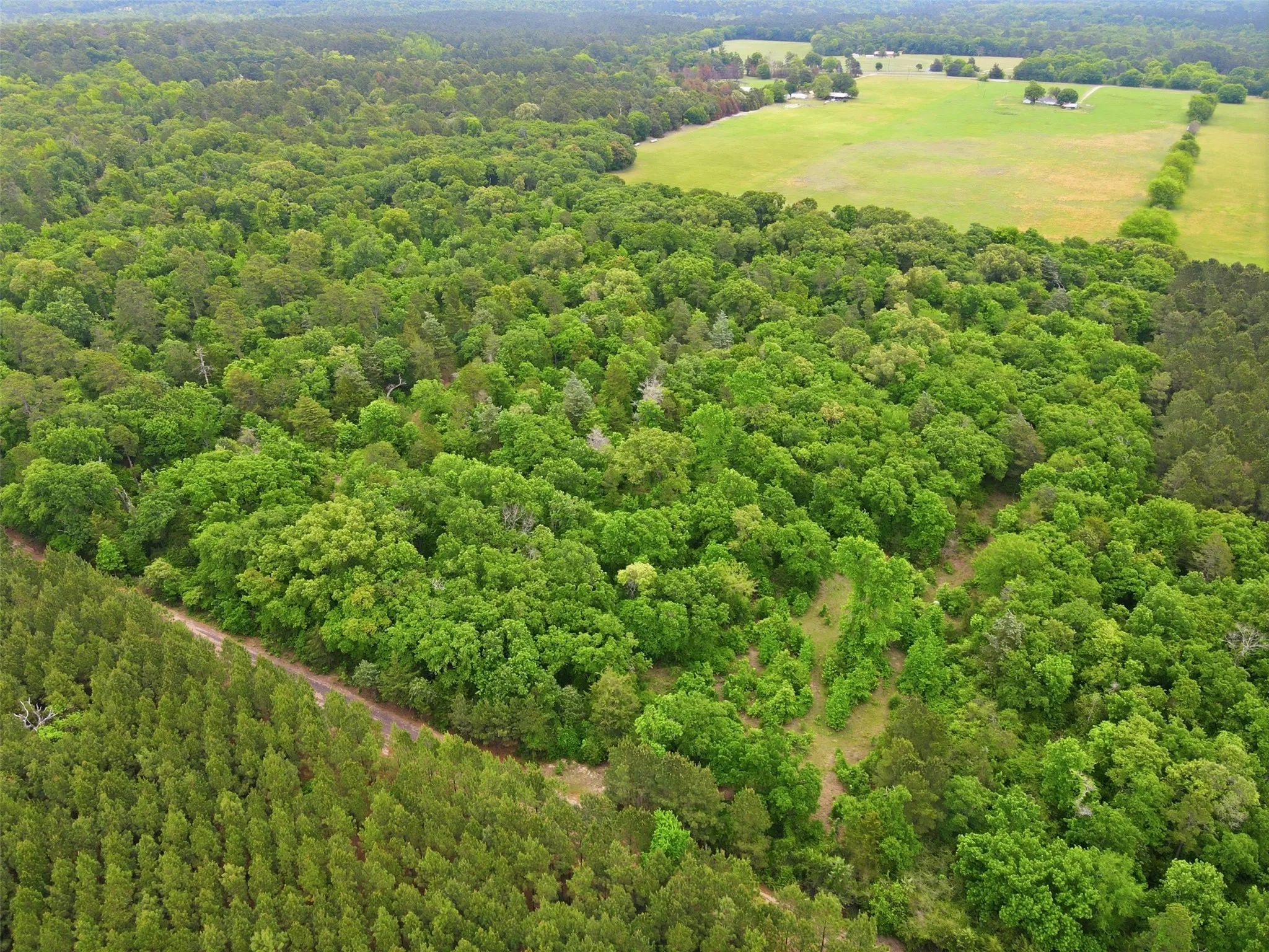 Unimproved Land For Sale in Wood County , TBA County Road 3824, Hawkins, Texas 75765, 0, 0, Garage spaces, 0 Sqft, built in 0, Price $998,500, mls#21261380, Real Estate Agent in Hawkins, Homes For Sale in Wood county, Homes For Sale in Hawkins, Realtor in Hawkins Texas, Real Estate Brokerage Independent Realty Texas, Luminita Cordes Realtor