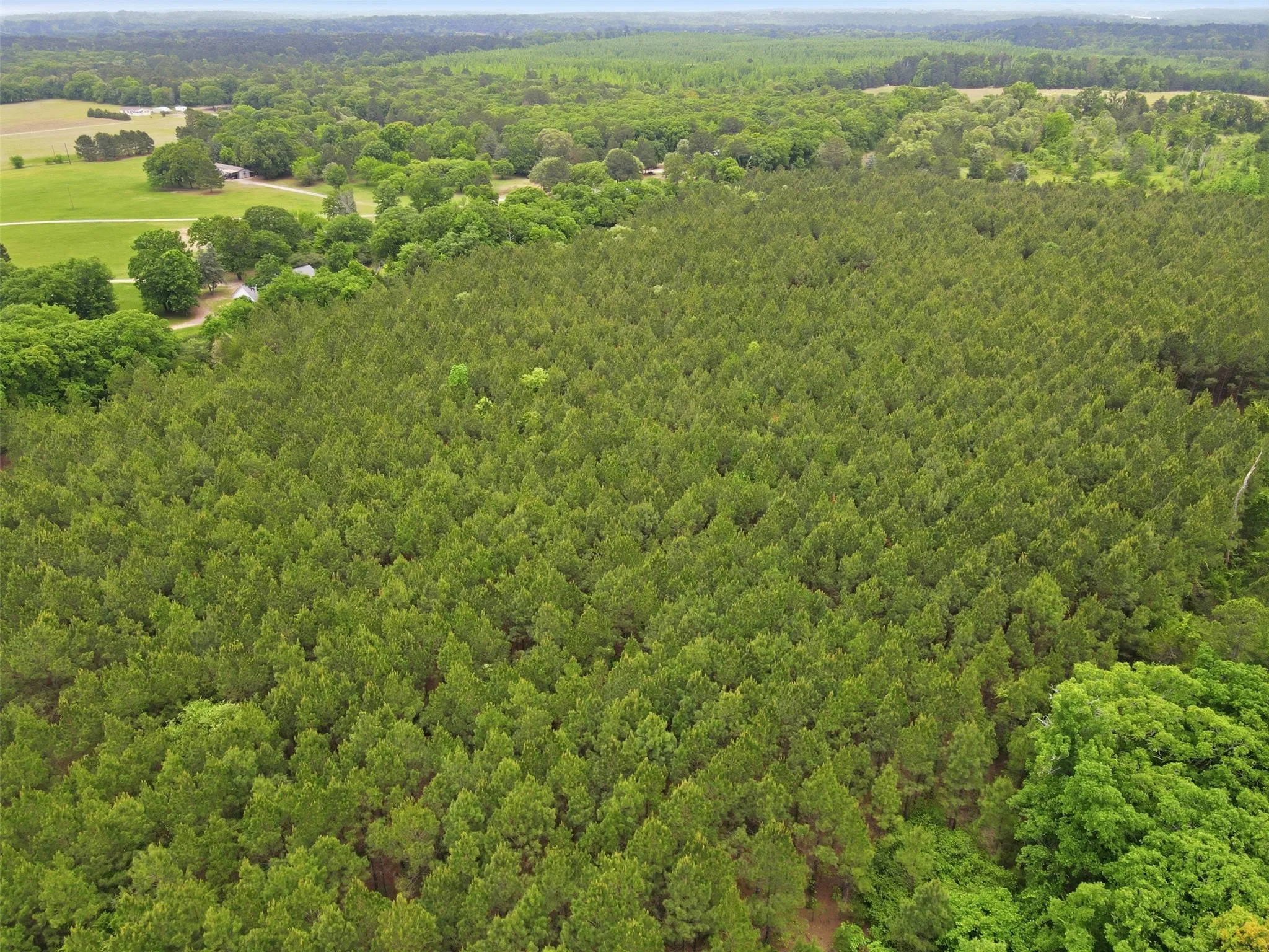 Unimproved Land For Sale in Wood County , TBA County Road 3824, Hawkins, Texas 75765, 0, 0, Garage spaces, 0 Sqft, built in 0, Price $998,500, mls#21261380, Real Estate Agent in Hawkins, Homes For Sale in Wood county, Homes For Sale in Hawkins, Realtor in Hawkins Texas, Real Estate Brokerage Independent Realty Texas, Luminita Cordes Realtor