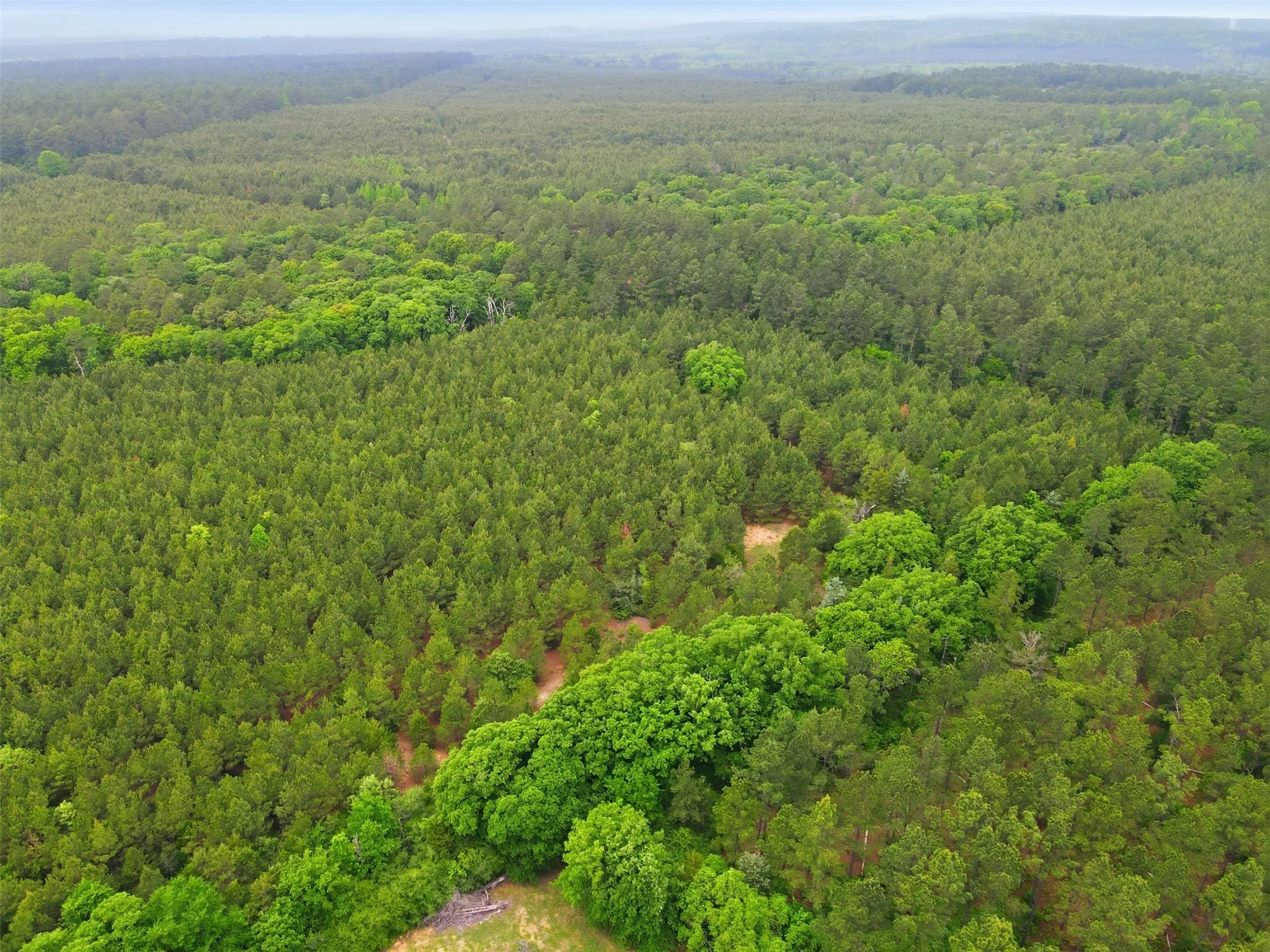 Unimproved Land For Sale in Wood County , TBA County Road 3824, Hawkins, Texas 75765, 0, 0, Garage spaces, 0 Sqft, built in 0, Price $998,500, mls#21261380, Real Estate Agent in Hawkins, Homes For Sale in Wood county, Homes For Sale in Hawkins, Realtor in Hawkins Texas, Real Estate Brokerage Independent Realty Texas, Luminita Cordes Realtor