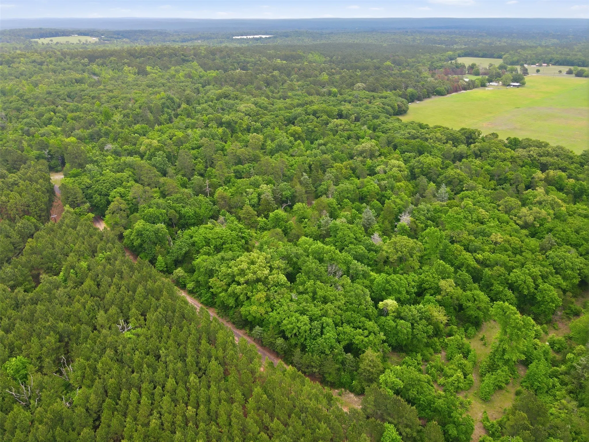 Unimproved Land For Sale in Wood County , TBA County Road 3824, Hawkins, Texas 75765, 0, 0, Garage spaces, 0 Sqft, built in 0, Price $998,500, mls#21261380, Real Estate Agent in Hawkins, Homes For Sale in Wood county, Homes For Sale in Hawkins, Realtor in Hawkins Texas, Real Estate Brokerage Independent Realty Texas, Luminita Cordes Realtor