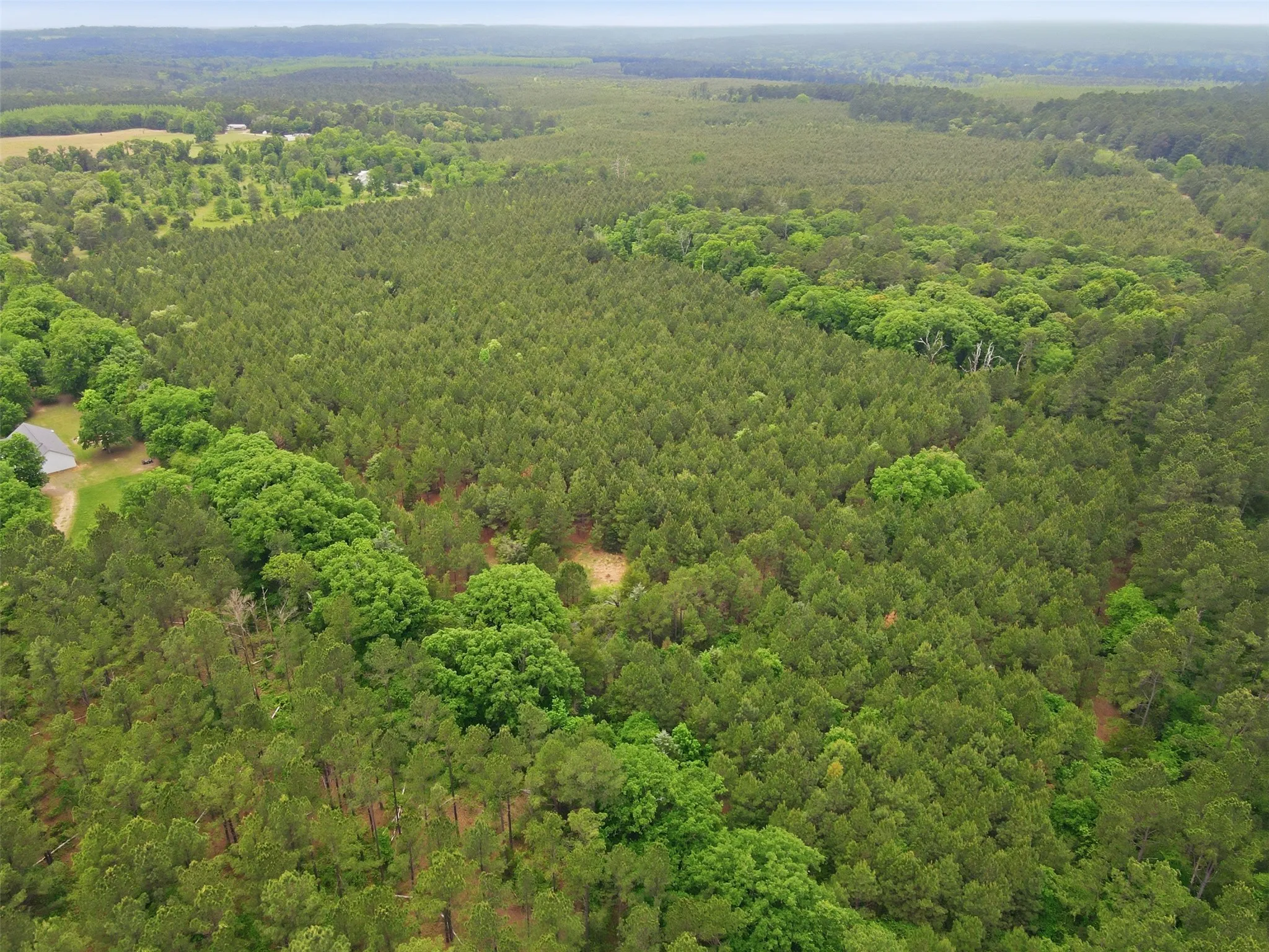 Unimproved Land For Sale in Wood County , TBA County Road 3824, Hawkins, Texas 75765, 0, 0, Garage spaces, 0 Sqft, built in 0, Price $998,500, mls#21261380, Real Estate Agent in Hawkins, Homes For Sale in Wood county, Homes For Sale in Hawkins, Realtor in Hawkins Texas, Real Estate Brokerage Independent Realty Texas, Luminita Cordes Realtor