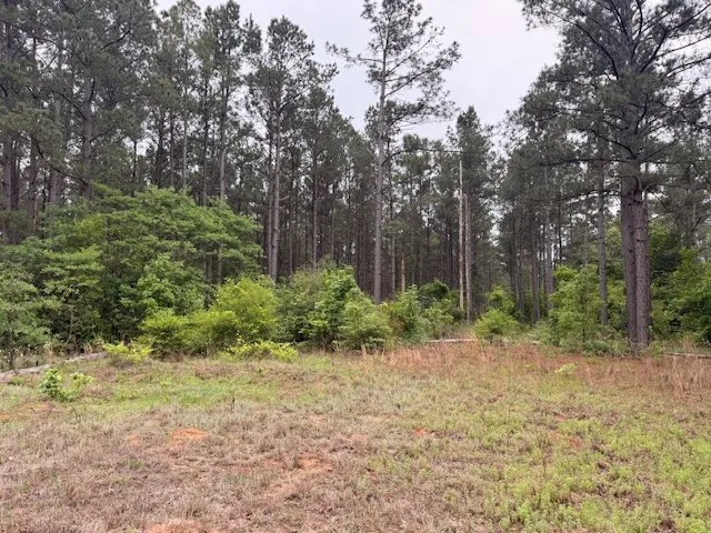 Unimproved Land For Sale in Wood County , TBA County Road 3824, Hawkins, Texas 75765, 0, 0, Garage spaces, 0 Sqft, built in 0, Price $998,500, mls#21261380, Real Estate Agent in Hawkins, Homes For Sale in Wood county, Homes For Sale in Hawkins, Realtor in Hawkins Texas, Real Estate Brokerage Independent Realty Texas, Luminita Cordes Realtor