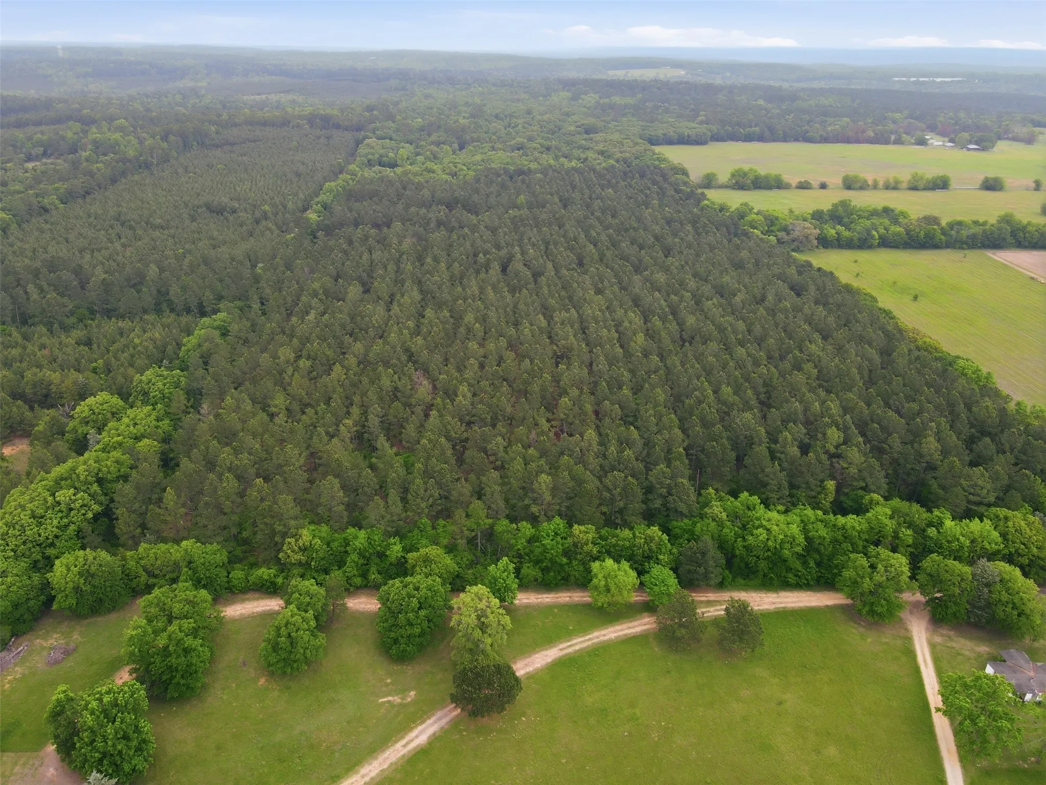 Unimproved Land For Sale in Wood County , TBA County Road 3824, Hawkins, Texas 75765, 0, 0, Garage spaces, 0 Sqft, built in 0, Price $998,500, mls#21261380, Real Estate Agent in Hawkins, Homes For Sale in Wood county, Homes For Sale in Hawkins, Realtor in Hawkins Texas, Real Estate Brokerage Independent Realty Texas, Luminita Cordes Realtor