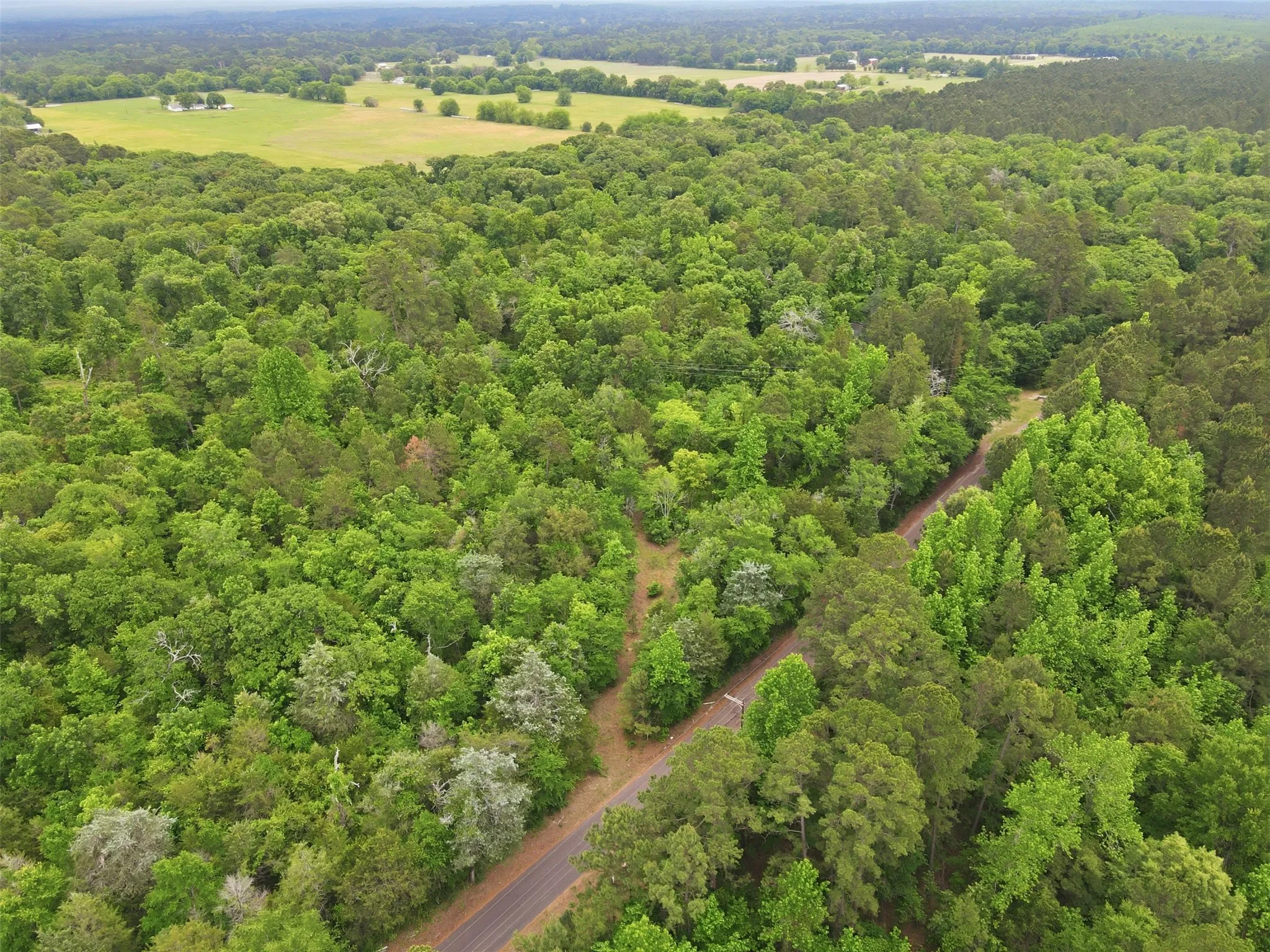 Unimproved Land For Sale in Wood County , TBA County Road 3824, Hawkins, Texas 75765, 0, 0, Garage spaces, 0 Sqft, built in 0, Price $998,500, mls#21261380, Real Estate Agent in Hawkins, Homes For Sale in Wood county, Homes For Sale in Hawkins, Realtor in Hawkins Texas, Real Estate Brokerage Independent Realty Texas, Luminita Cordes Realtor