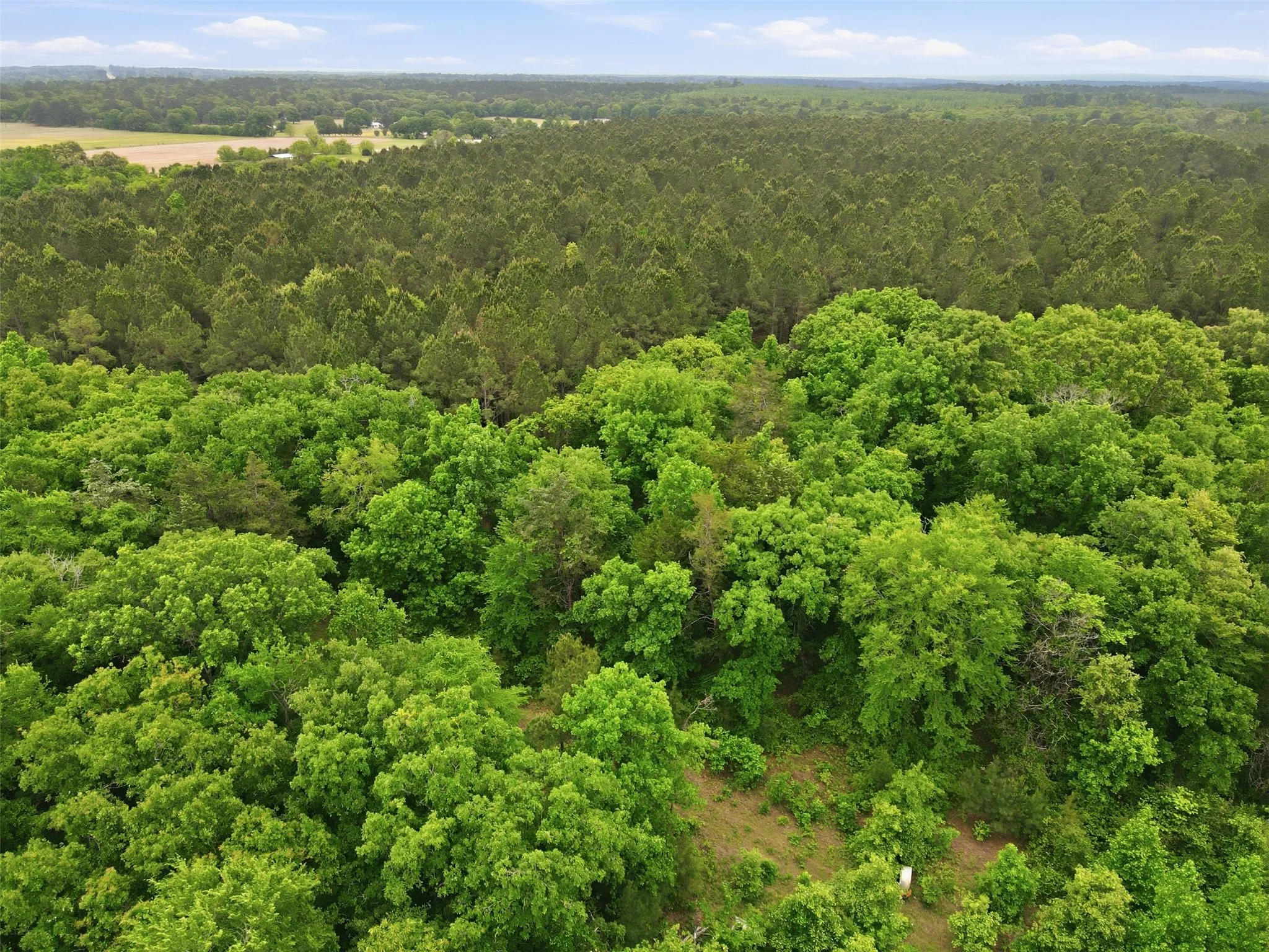 Unimproved Land For Sale in Wood County , TBA County Road 3824, Hawkins, Texas 75765, 0, 0, Garage spaces, 0 Sqft, built in 0, Price $998,500, mls#21261380, Real Estate Agent in Hawkins, Homes For Sale in Wood county, Homes For Sale in Hawkins, Realtor in Hawkins Texas, Real Estate Brokerage Independent Realty Texas, Luminita Cordes Realtor