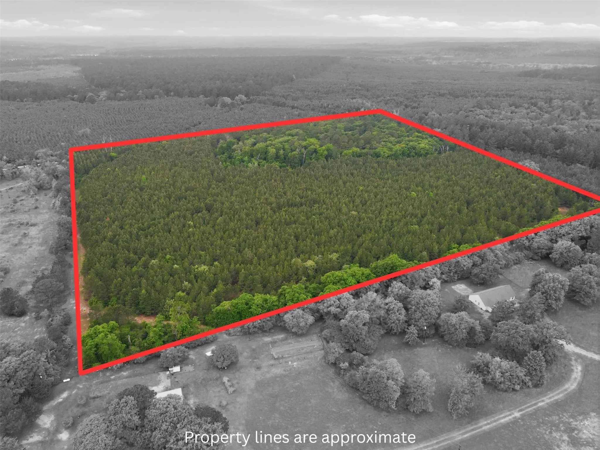 Unimproved Land For Sale in Wood County , TBA County Road 3824, Hawkins, Texas 75765, 0, 0, Garage spaces, 0 Sqft, built in 0, Price $998,500, mls#21261380, Real Estate Agent in Hawkins, Homes For Sale in Wood county, Homes For Sale in Hawkins, Realtor in Hawkins Texas, Real Estate Brokerage Independent Realty Texas, Luminita Cordes Realtor