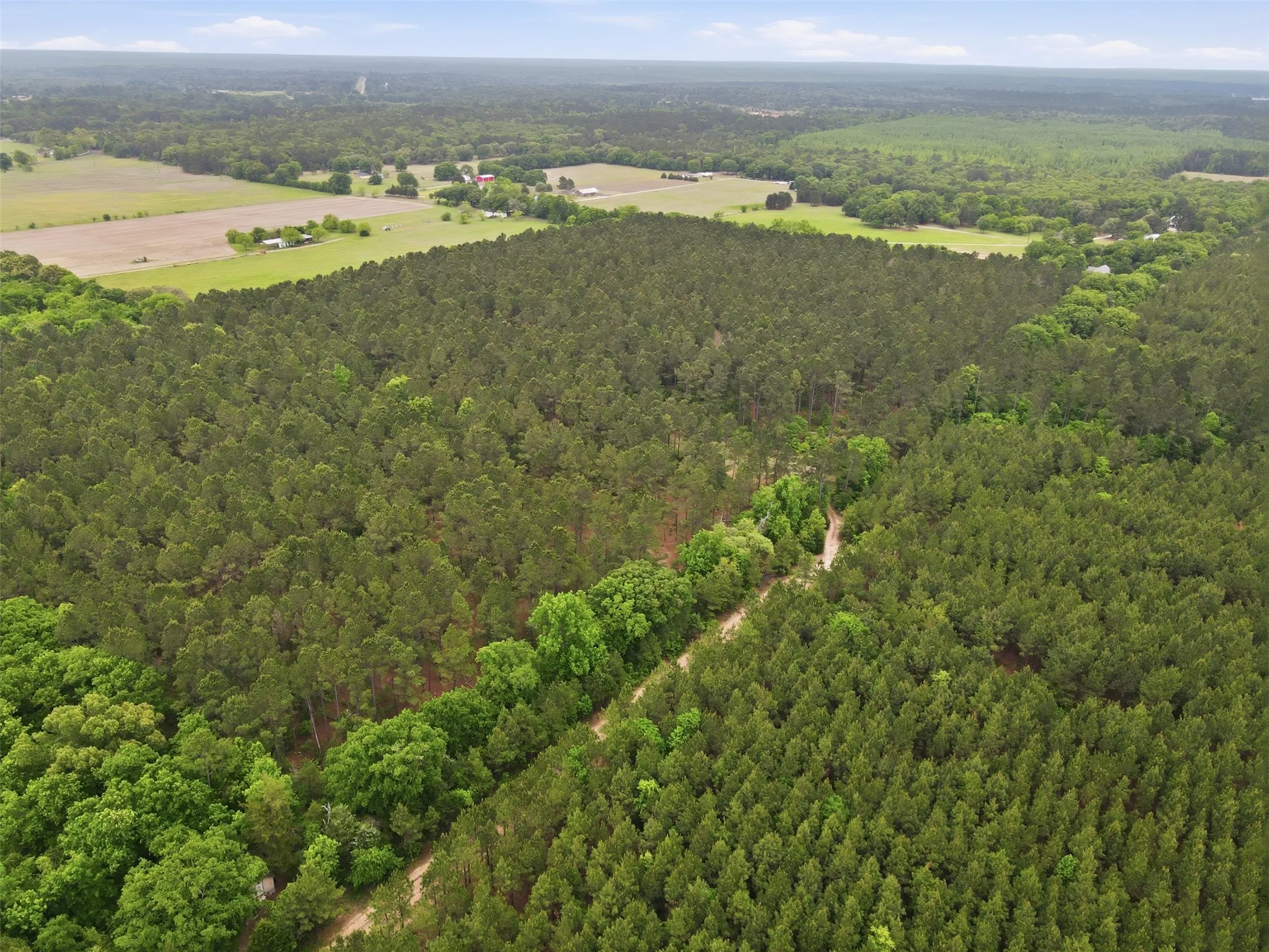 Unimproved Land For Sale in Wood County , TBA County Road 3824, Hawkins, Texas 75765, 0, 0, Garage spaces, 0 Sqft, built in 0, Price $998,500, mls#21261380, Real Estate Agent in Hawkins, Homes For Sale in Wood county, Homes For Sale in Hawkins, Realtor in Hawkins Texas, Real Estate Brokerage Independent Realty Texas, Luminita Cordes Realtor