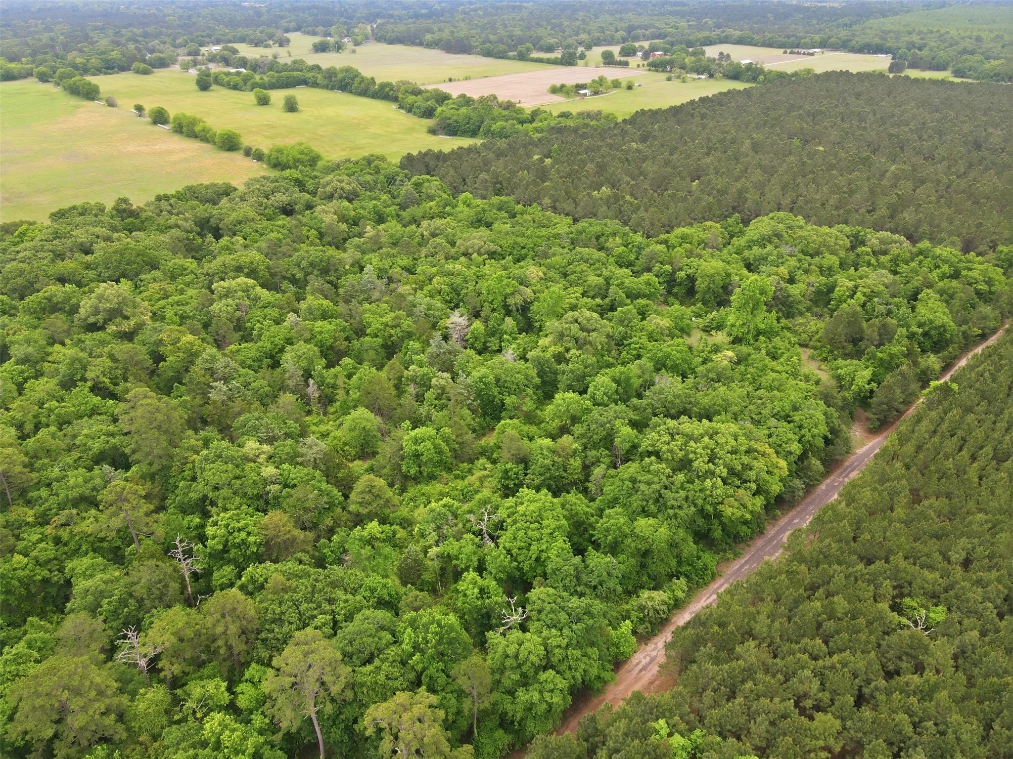 Unimproved Land For Sale in Wood County , TBA County Road 3824, Hawkins, Texas 75765, 0, 0, Garage spaces, 0 Sqft, built in 0, Price $998,500, mls#21261380, Real Estate Agent in Hawkins, Homes For Sale in Wood county, Homes For Sale in Hawkins, Realtor in Hawkins Texas, Real Estate Brokerage Independent Realty Texas, Luminita Cordes Realtor