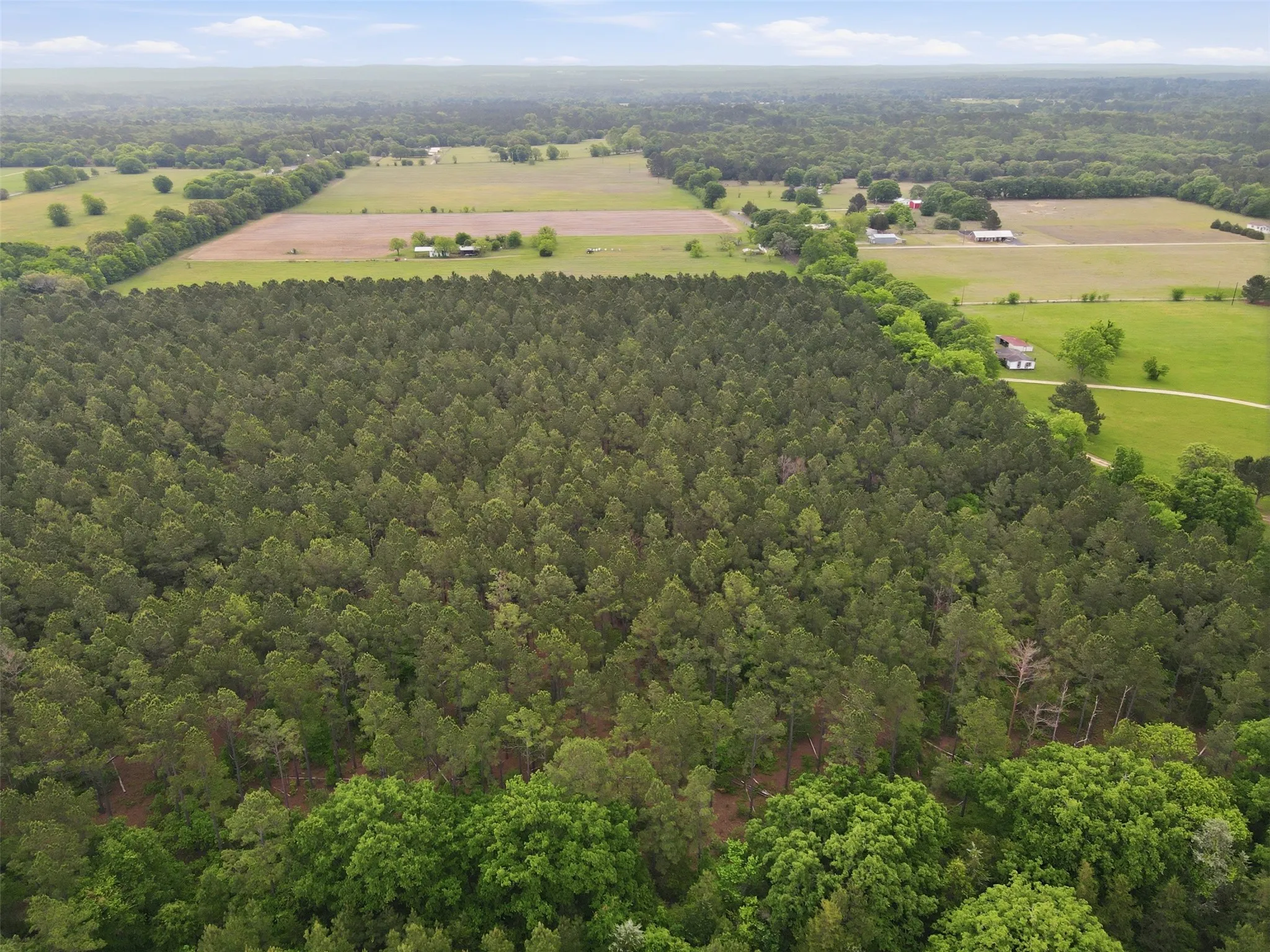Unimproved Land For Sale in Wood County , TBA County Road 3824, Hawkins, Texas 75765, 0, 0, Garage spaces, 0 Sqft, built in 0, Price $998,500, mls#21261380, Real Estate Agent in Hawkins, Homes For Sale in Wood county, Homes For Sale in Hawkins, Realtor in Hawkins Texas, Real Estate Brokerage Independent Realty Texas, Luminita Cordes Realtor