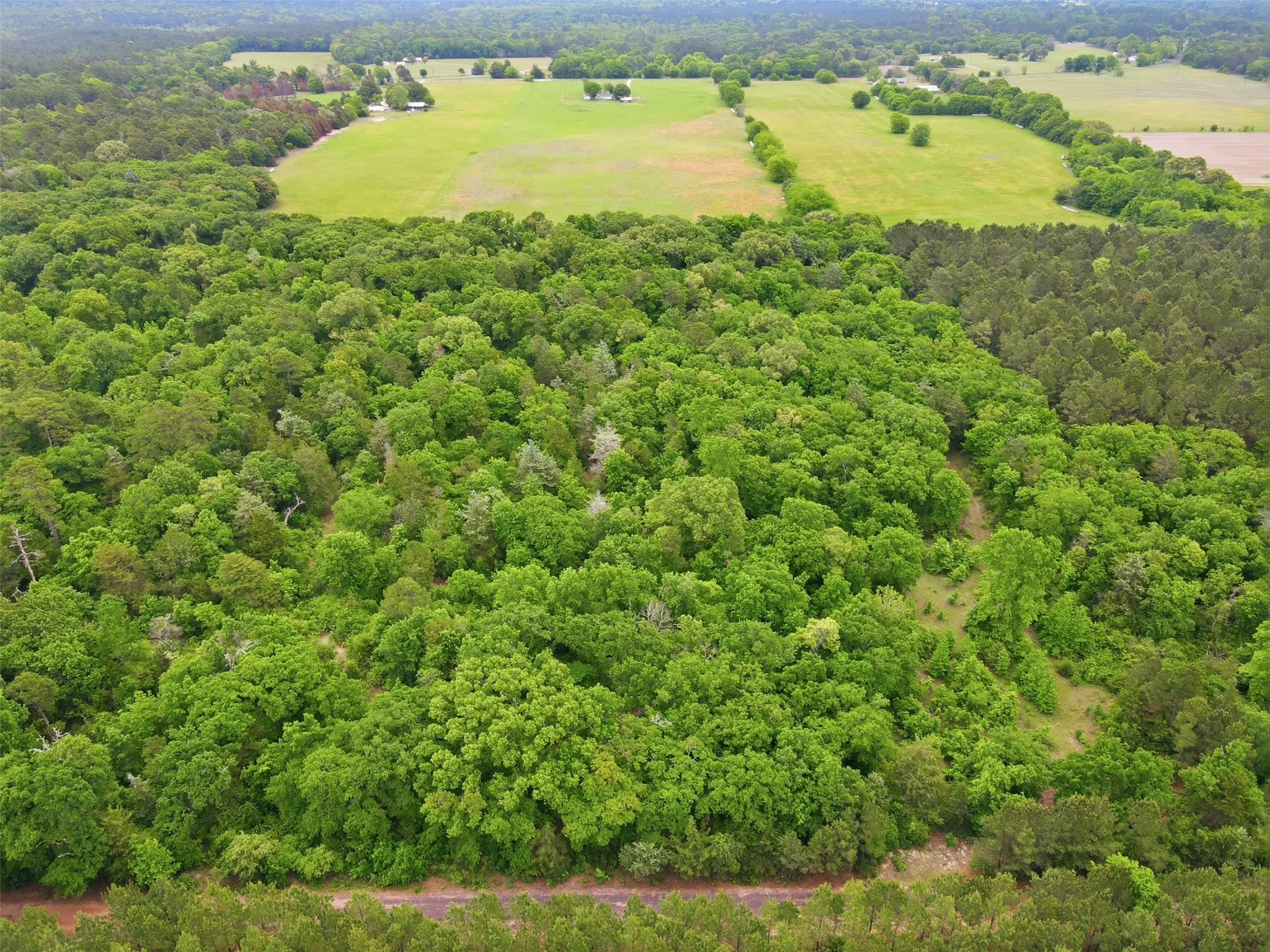 Unimproved Land For Sale in Wood County , TBA County Road 3824, Hawkins, Texas 75765, 0, 0, Garage spaces, 0 Sqft, built in 0, Price $998,500, mls#21261380, Real Estate Agent in Hawkins, Homes For Sale in Wood county, Homes For Sale in Hawkins, Realtor in Hawkins Texas, Real Estate Brokerage Independent Realty Texas, Luminita Cordes Realtor