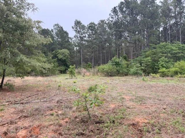 Unimproved Land For Sale in Wood County , TBA County Road 3824, Hawkins, Texas 75765, 0, 0, Garage spaces, 0 Sqft, built in 0, Price $998,500, mls#21261380, Real Estate Agent in Hawkins, Homes For Sale in Wood county, Homes For Sale in Hawkins, Realtor in Hawkins Texas, Real Estate Brokerage Independent Realty Texas, Luminita Cordes Realtor