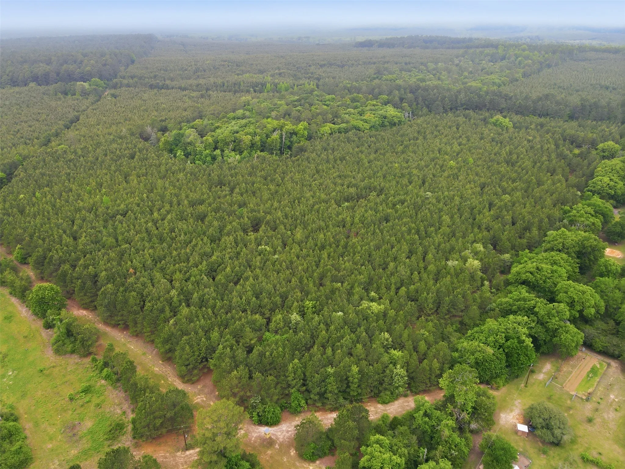 Unimproved Land For Sale in Wood County , TBA County Road 3824, Hawkins, Texas 75765, 0, 0, Garage spaces, 0 Sqft, built in 0, Price $998,500, mls#21261380, Real Estate Agent in Hawkins, Homes For Sale in Wood county, Homes For Sale in Hawkins, Realtor in Hawkins Texas, Real Estate Brokerage Independent Realty Texas, Luminita Cordes Realtor