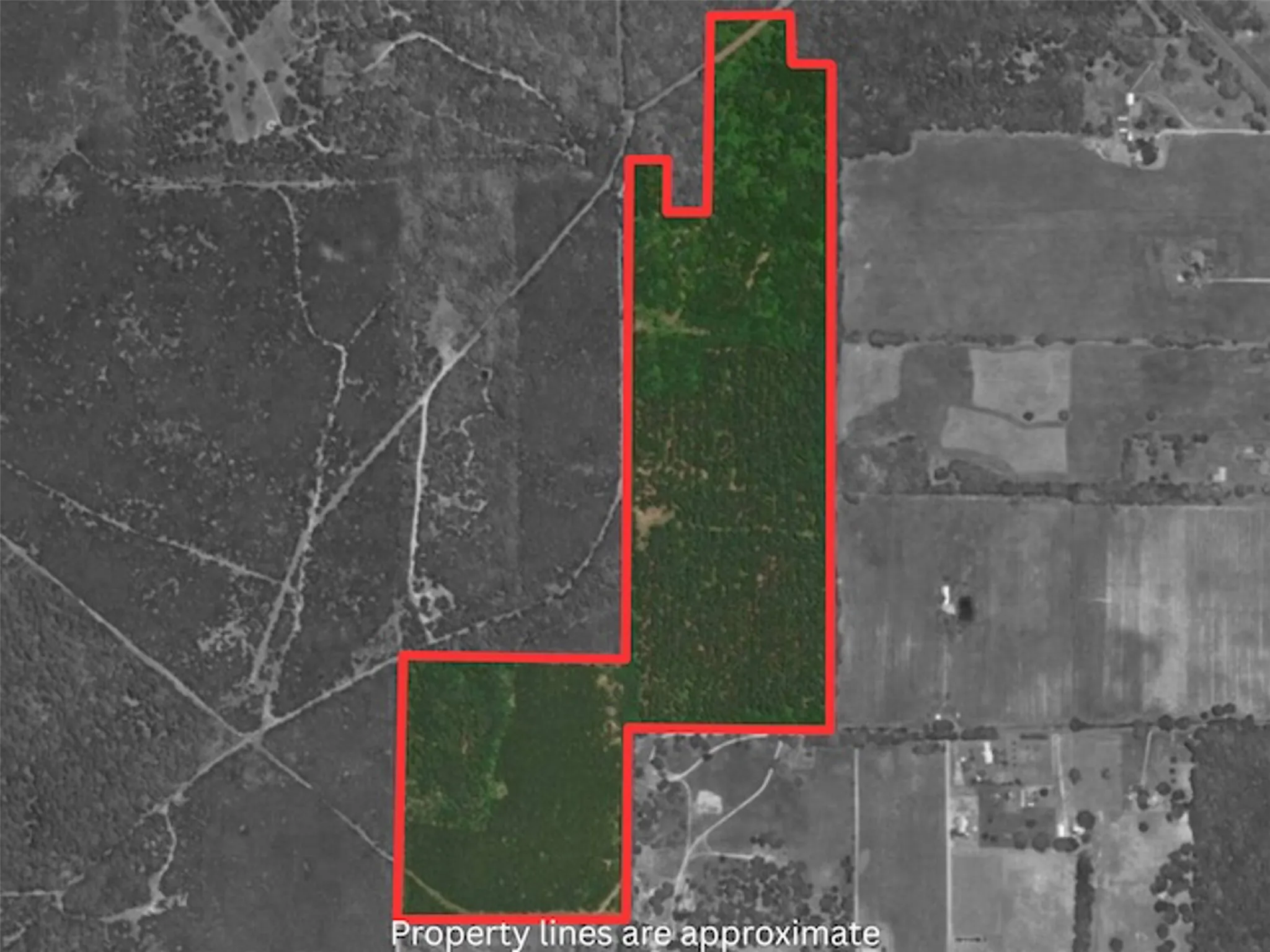 Unimproved Land For Sale in Wood County , TBA County Road 3824, Hawkins, Texas 75765, 0, 0, Garage spaces, 0 Sqft, built in 0, Price $998,500, mls#21261380, Real Estate Agent in Hawkins, Homes For Sale in Wood county, Homes For Sale in Hawkins, Realtor in Hawkins Texas, Real Estate Brokerage Independent Realty Texas, Luminita Cordes Realtor