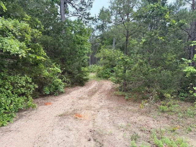 Unimproved Land For Sale in Wood County , TBA County Road 3824, Hawkins, Texas 75765, 0, 0, Garage spaces, 0 Sqft, built in 0, Price $998,500, mls#21261380, Real Estate Agent in Hawkins, Homes For Sale in Wood county, Homes For Sale in Hawkins, Realtor in Hawkins Texas, Real Estate Brokerage Independent Realty Texas, Luminita Cordes Realtor