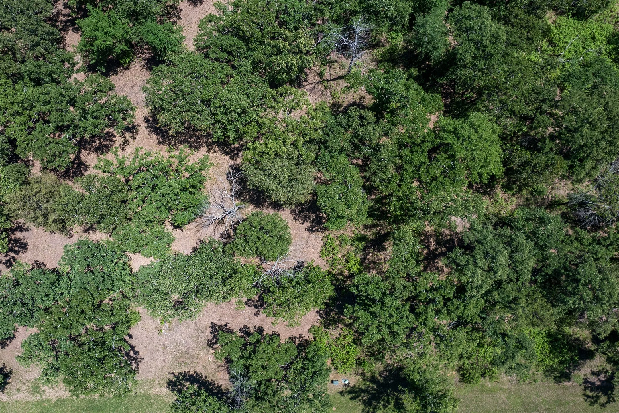 Unimproved Land For Sale in Henderson County , 6936 Lakeshore Way, Malakoff, Texas 75148, 0, 0, Garage spaces, 0 Sqft, built in 0, Price $239,000, mls#21236546, Real Estate Agent in Malakoff, Homes For Sale in Henderson county, Homes For Sale in Malakoff, Realtor in Malakoff Texas, Real Estate Brokerage Independent Realty Texas, Luminita Cordes Realtor