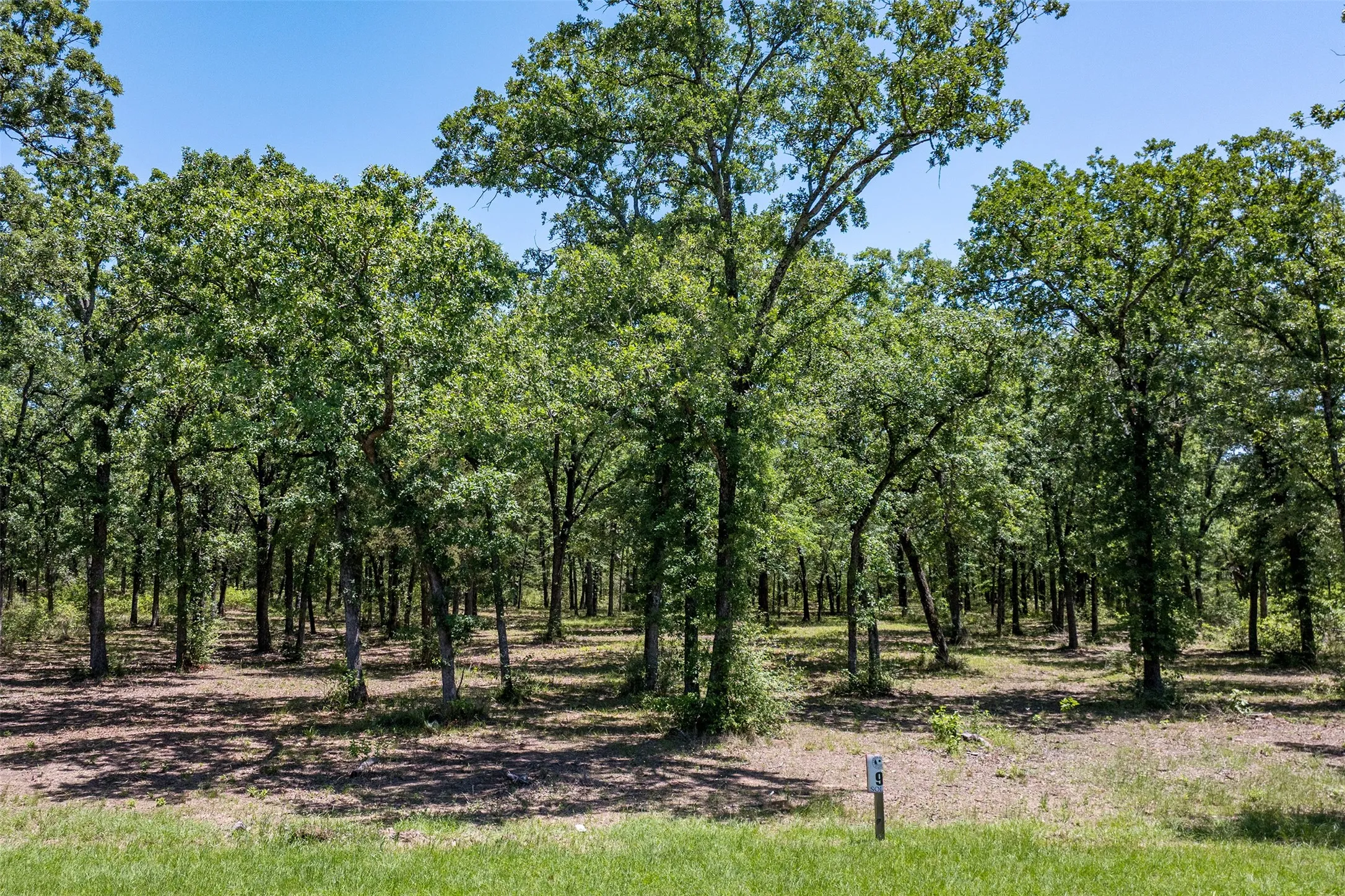 Unimproved Land For Sale in Henderson County , 6936 Lakeshore Way, Malakoff, Texas 75148, 0, 0, Garage spaces, 0 Sqft, built in 0, Price $239,000, mls#21236546, Real Estate Agent in Malakoff, Homes For Sale in Henderson county, Homes For Sale in Malakoff, Realtor in Malakoff Texas, Real Estate Brokerage Independent Realty Texas, Luminita Cordes Realtor