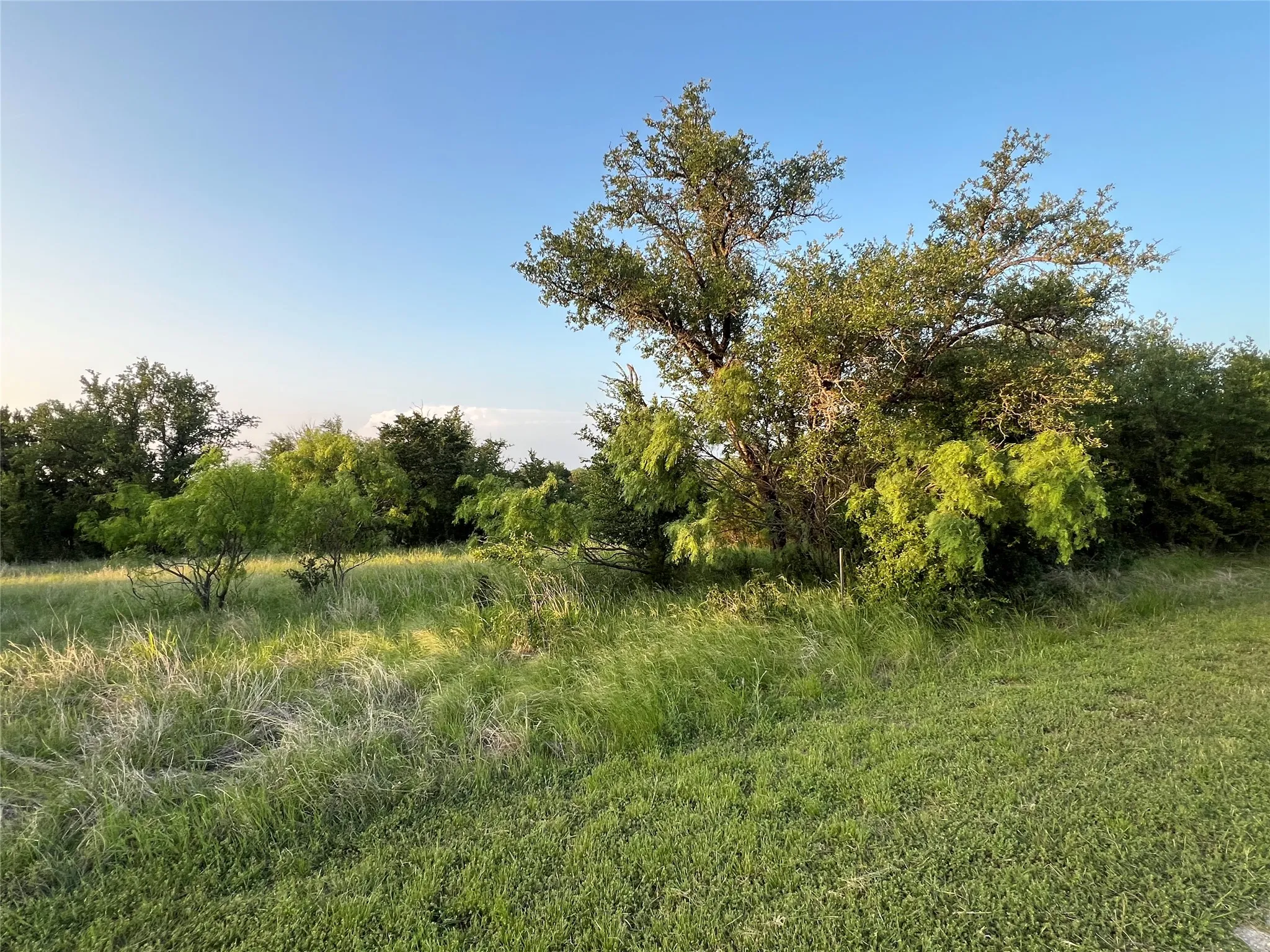 Unimproved Land For Sale in Palo Pinto County , 1100 Spyglass Drive, Graford, Texas 76449, 0, 0, Garage spaces, 0 Sqft, built in 0, mls#21261463, Real Estate Agent in Graford, Homes For Sale in Palo Pinto county, Homes For Sale in Graford, Realtor in Graford Texas, Real Estate Brokerage Independent Realty Texas, Luminita Cordes Realtor