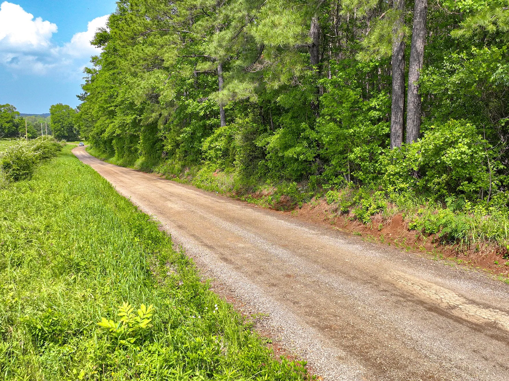 Unimproved Land For Sale in Sabine (TX) County , TBD Kings Rd, Hemphill, Texas 75972, 0, 0, Garage spaces, 0 Sqft, built in 0, mls#21256042, Real Estate Agent in Hemphill, Homes For Sale in Sabine (TX) county, Homes For Sale in Hemphill, Realtor in Hemphill Texas, Real Estate Brokerage Independent Realty Texas, Luminita Cordes Realtor