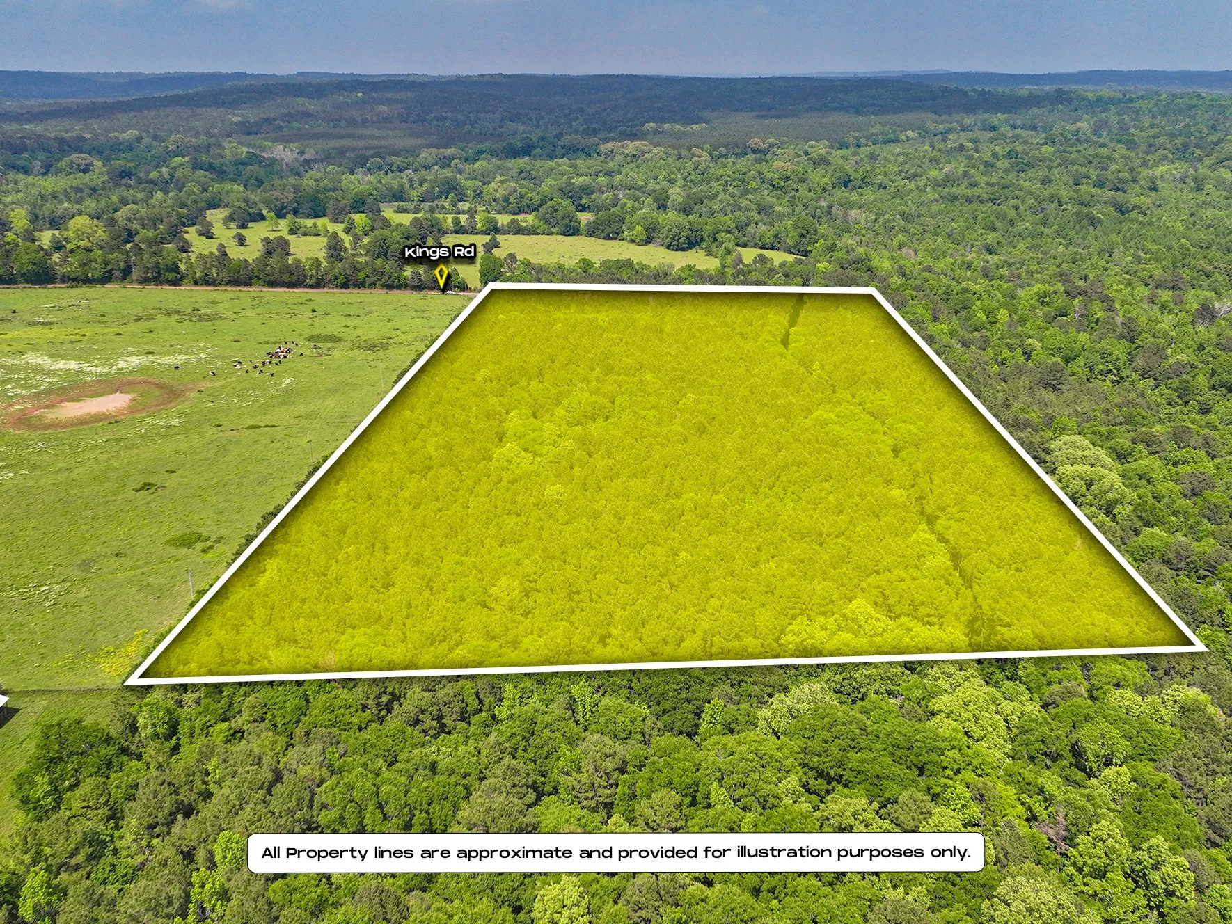 Unimproved Land For Sale in Sabine (TX) County , TBD Kings Rd, Hemphill, Texas 75972, 0, 0, Garage spaces, 0 Sqft, built in 0, mls#21256042, Real Estate Agent in Hemphill, Homes For Sale in Sabine (TX) county, Homes For Sale in Hemphill, Realtor in Hemphill Texas, Real Estate Brokerage Independent Realty Texas, Luminita Cordes Realtor