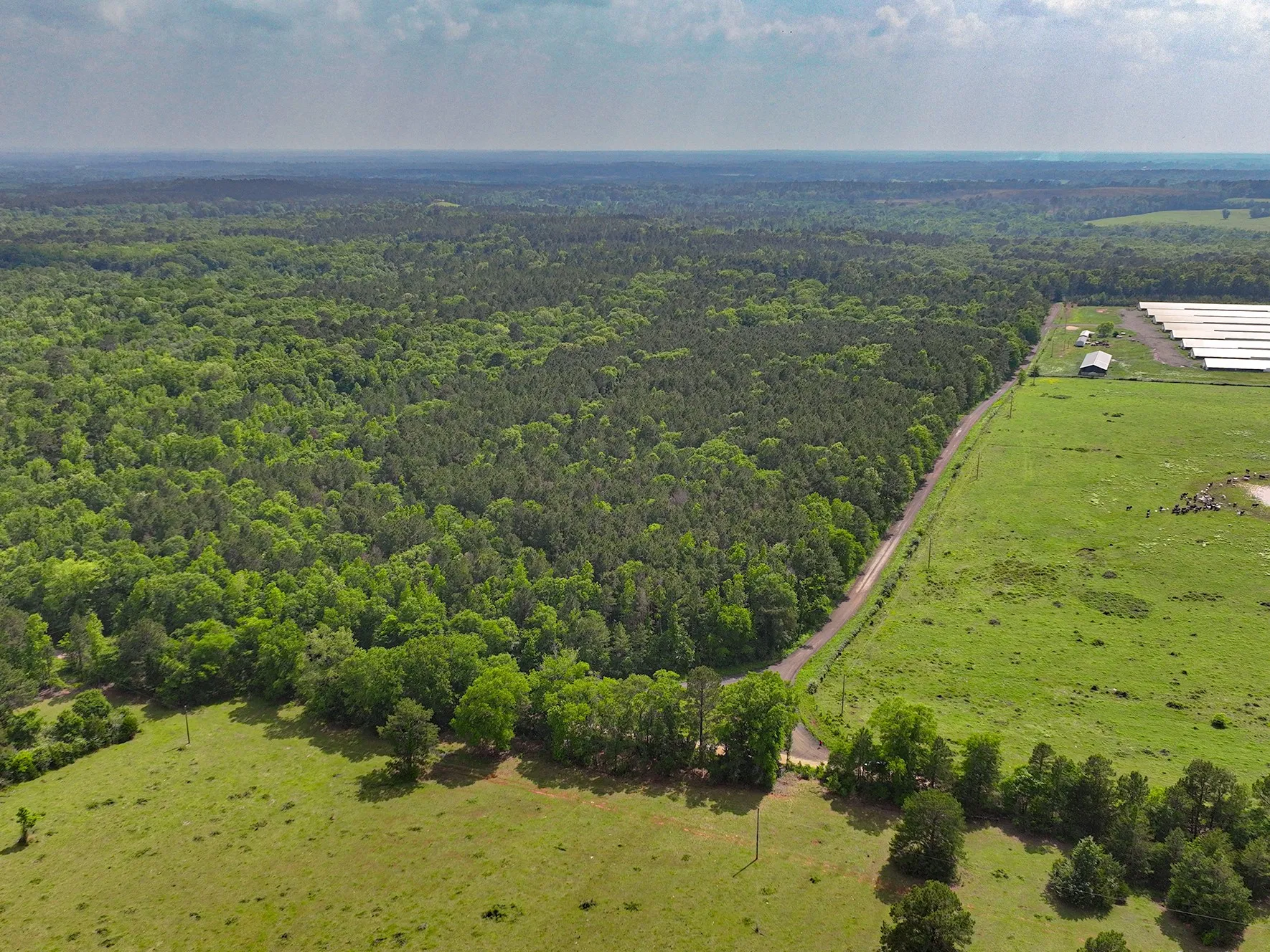 Unimproved Land For Sale in Sabine (TX) County , TBD Kings Rd, Hemphill, Texas 75972, 0, 0, Garage spaces, 0 Sqft, built in 0, mls#21256042, Real Estate Agent in Hemphill, Homes For Sale in Sabine (TX) county, Homes For Sale in Hemphill, Realtor in Hemphill Texas, Real Estate Brokerage Independent Realty Texas, Luminita Cordes Realtor