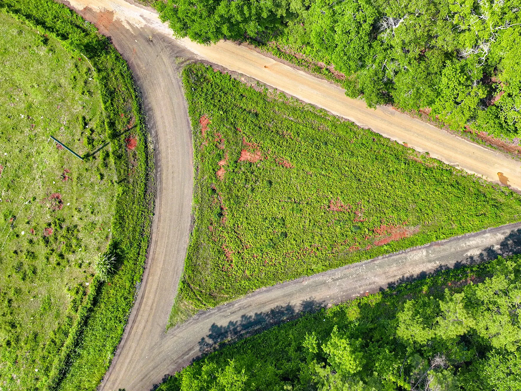 Unimproved Land For Sale in Sabine (TX) County , TBD Kings Rd, Hemphill, Texas 75972, 0, 0, Garage spaces, 0 Sqft, built in 0, mls#21256042, Real Estate Agent in Hemphill, Homes For Sale in Sabine (TX) county, Homes For Sale in Hemphill, Realtor in Hemphill Texas, Real Estate Brokerage Independent Realty Texas, Luminita Cordes Realtor