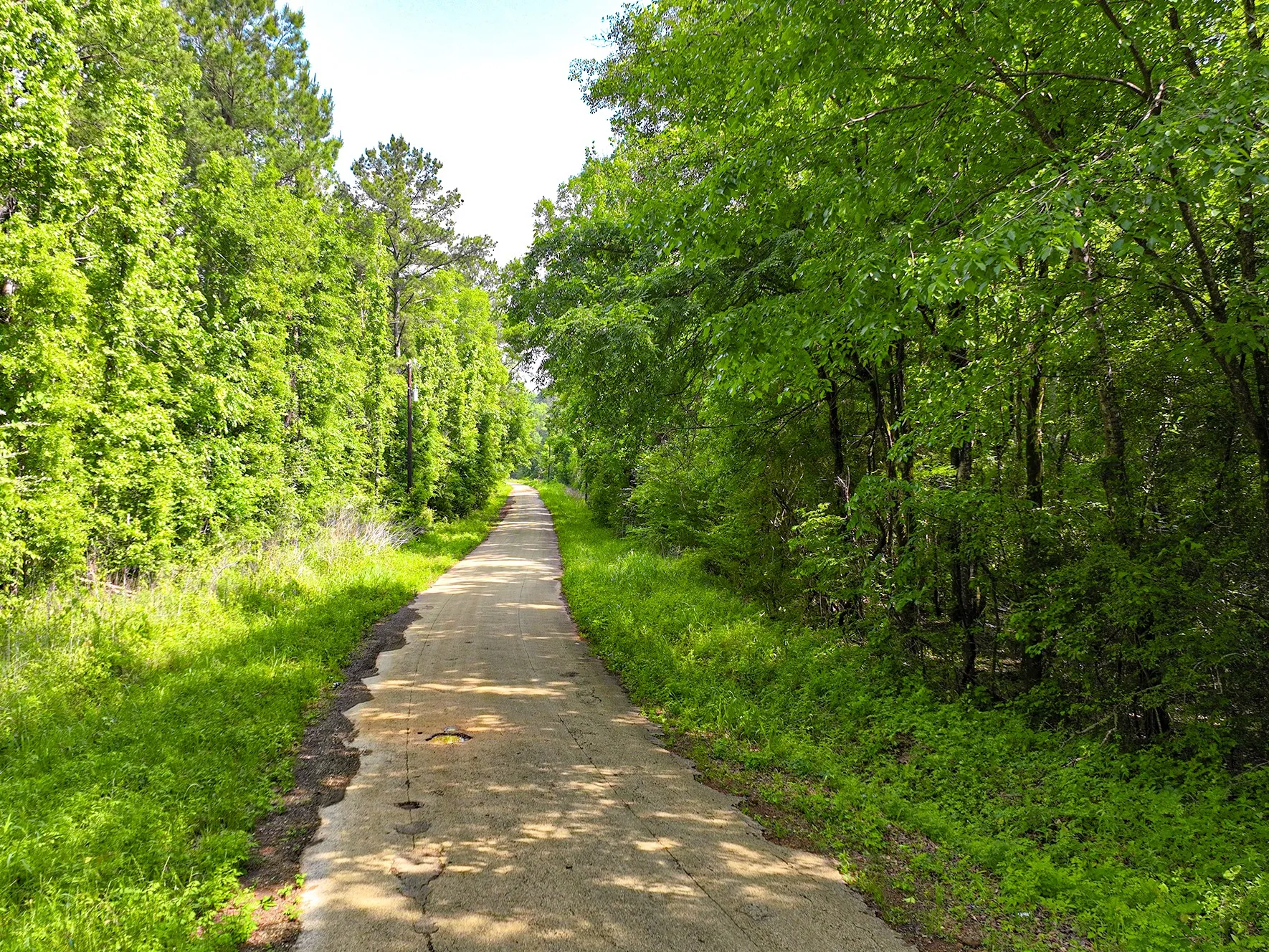 Unimproved Land For Sale in Sabine (TX) County , TBD Kings Rd, Hemphill, Texas 75972, 0, 0, Garage spaces, 0 Sqft, built in 0, mls#21256042, Real Estate Agent in Hemphill, Homes For Sale in Sabine (TX) county, Homes For Sale in Hemphill, Realtor in Hemphill Texas, Real Estate Brokerage Independent Realty Texas, Luminita Cordes Realtor