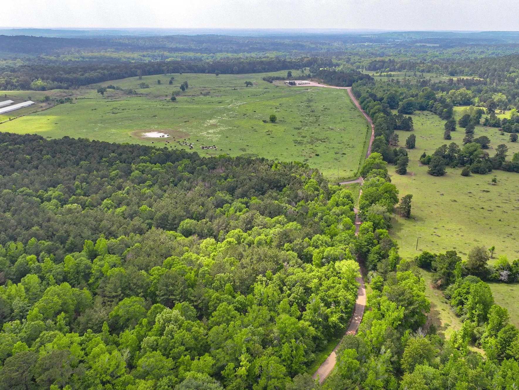 Unimproved Land For Sale in Sabine (TX) County , TBD Kings Rd, Hemphill, Texas 75972, 0, 0, Garage spaces, 0 Sqft, built in 0, mls#21256042, Real Estate Agent in Hemphill, Homes For Sale in Sabine (TX) county, Homes For Sale in Hemphill, Realtor in Hemphill Texas, Real Estate Brokerage Independent Realty Texas, Luminita Cordes Realtor