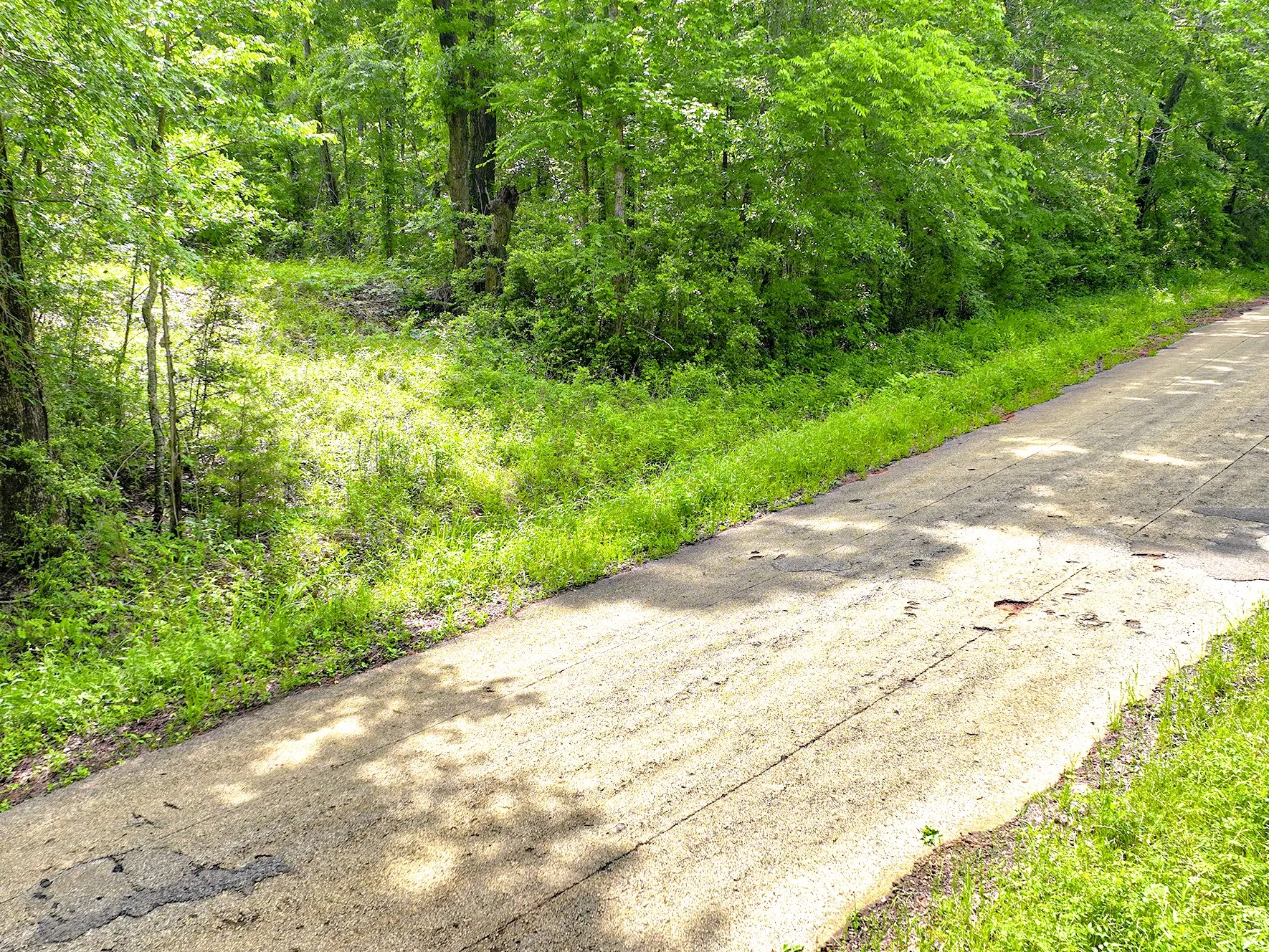 Unimproved Land For Sale in Sabine (TX) County , TBD Kings Rd, Hemphill, Texas 75972, 0, 0, Garage spaces, 0 Sqft, built in 0, mls#21256042, Real Estate Agent in Hemphill, Homes For Sale in Sabine (TX) county, Homes For Sale in Hemphill, Realtor in Hemphill Texas, Real Estate Brokerage Independent Realty Texas, Luminita Cordes Realtor