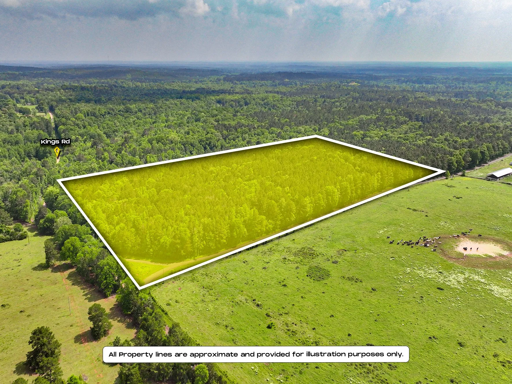 Unimproved Land For Sale in Sabine (TX) County , TBD Kings Rd, Hemphill, Texas 75972, 0, 0, Garage spaces, 0 Sqft, built in 0, mls#21256042, Real Estate Agent in Hemphill, Homes For Sale in Sabine (TX) county, Homes For Sale in Hemphill, Realtor in Hemphill Texas, Real Estate Brokerage Independent Realty Texas, Luminita Cordes Realtor