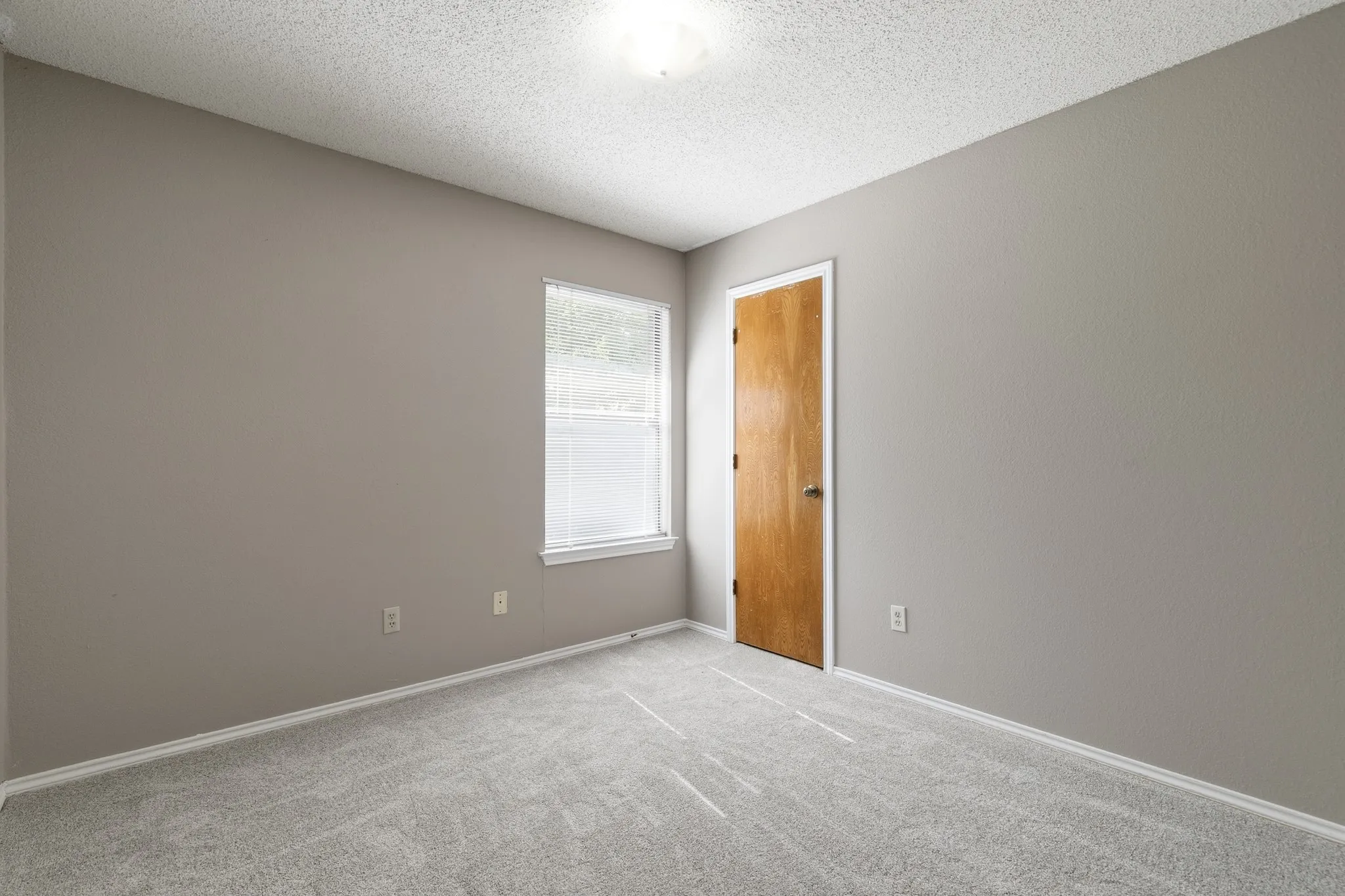 Neutral-toned room featuring a single window with blinds, a wood-finish door with white trim, light gray carpet, and white baseboards