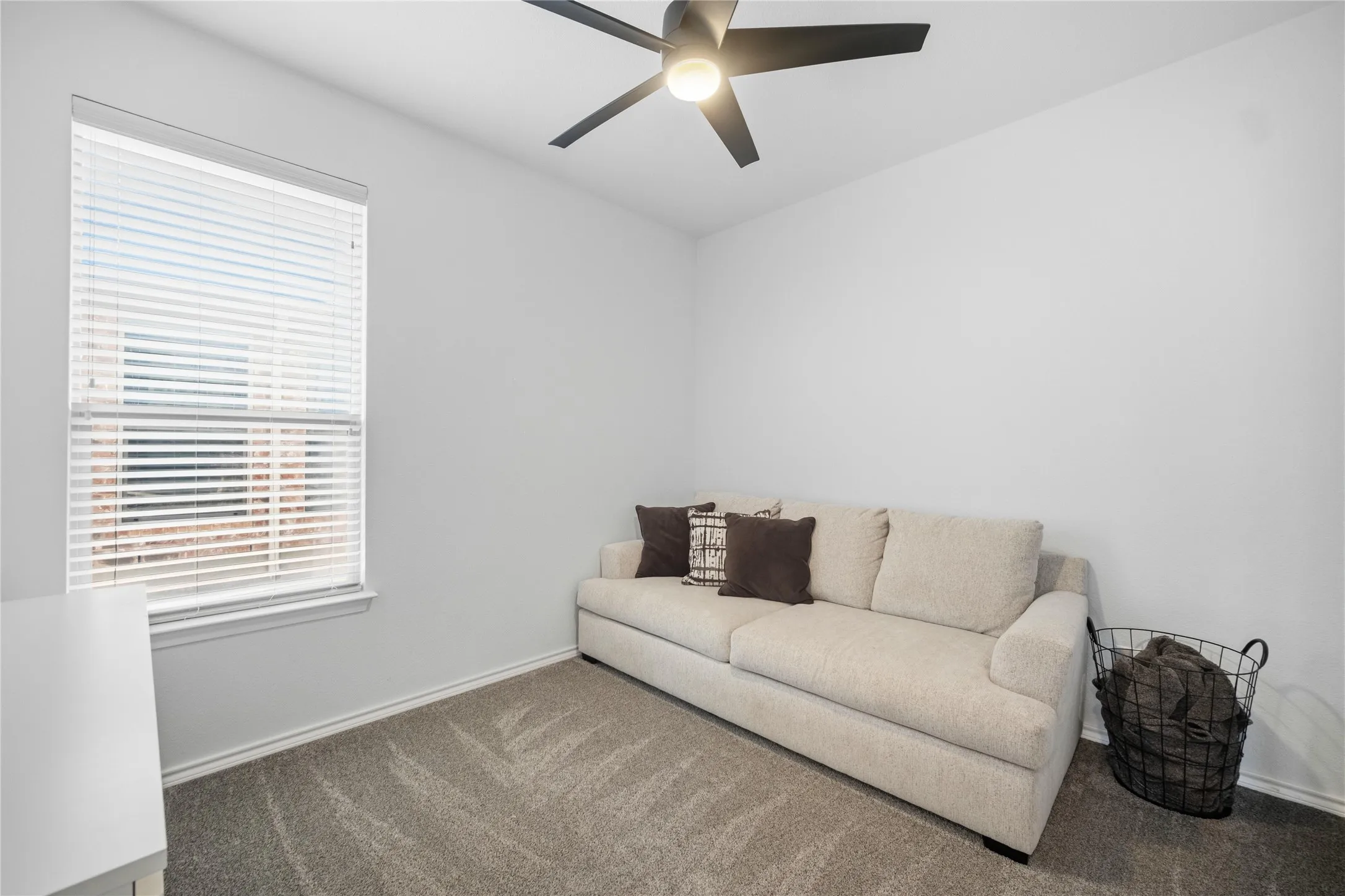 Bright room featuring a ceiling fan with integrated lighting, a single window with blinds, and soft carpet flooring