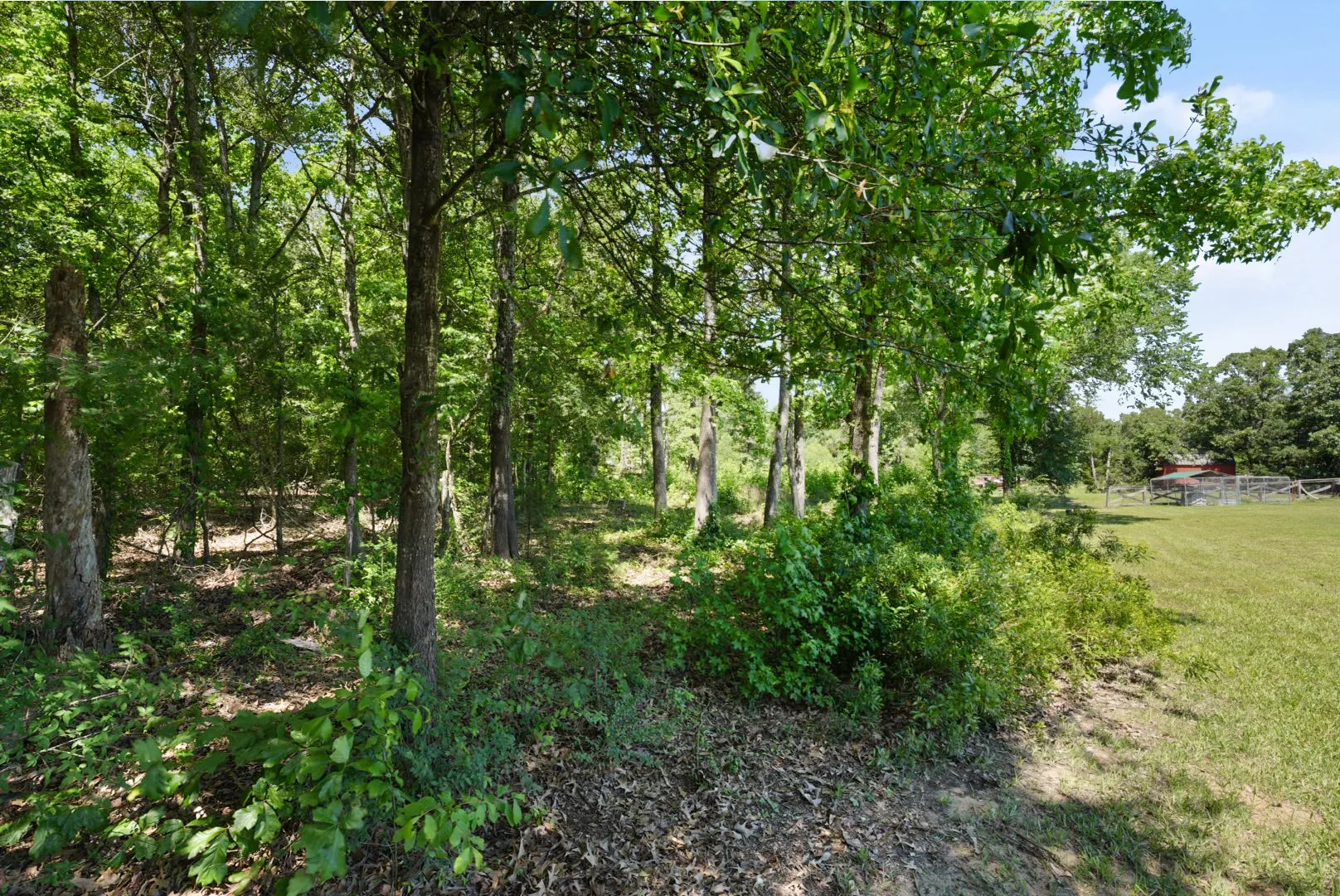 Single Family Residence For Sale in Rains County , 155 RS County Road 4261, Emory, Texas 75440, 3 Bedroom, 2 Bathroom, 2 Garage spaces, 1,970 Sqft, built in 2008, mls#21261650, Real Estate Agent in Emory, Homes For Sale in Rains county, Homes For Sale in Emory, Realtor in Emory Texas, Real Estate Brokerage Independent Realty Texas, Luminita Cordes Realtor
