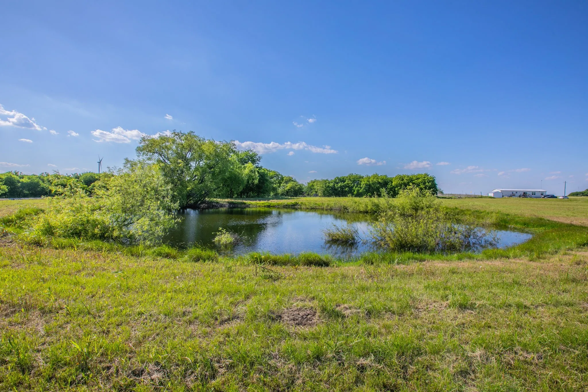 Improved Land For Sale in Hill County , 958 county Road 3254, Mount Calm, Texas 76673, 0, 0, Garage spaces, 0 Sqft, built in 0, mls#21254568, Real Estate Agent in Mount Calm, Homes For Sale in Hill county, Homes For Sale in Mount Calm, Realtor in Mount Calm Texas, Real Estate Brokerage Independent Realty Texas, Luminita Cordes Realtor
