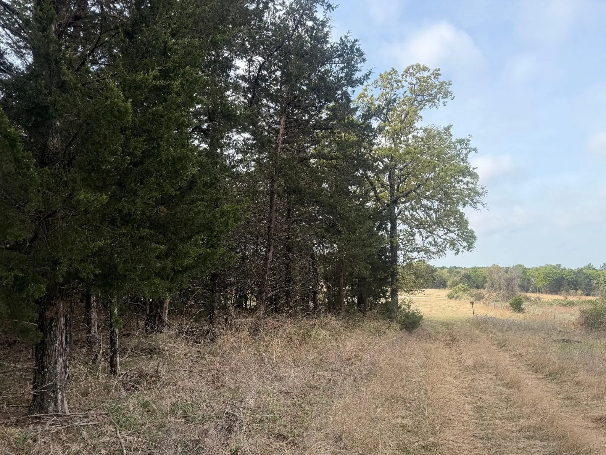 Improved Land For Sale in Wise County , 2548 County Road 2690, Alvord, Texas 76225, 0, 0, Garage spaces, 0 Sqft, built in 1973, mls#21261790, Real Estate Agent in Alvord, Homes For Sale in Wise county, Homes For Sale in Alvord, Realtor in Alvord Texas, Real Estate Brokerage Independent Realty Texas, Luminita Cordes Realtor