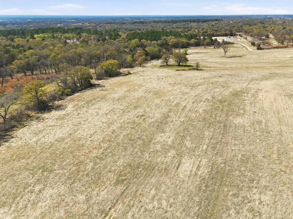 Pasture