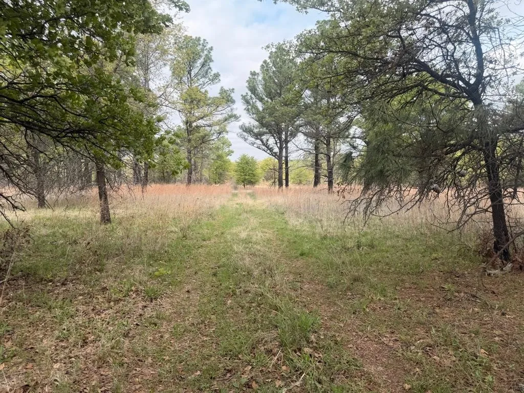 Improved Land For Sale in Wise County , 2548 County Road 2690, Alvord, Texas 76225, 0, 0, Garage spaces, 0 Sqft, built in 1973, mls#21261790, Real Estate Agent in Alvord, Homes For Sale in Wise county, Homes For Sale in Alvord, Realtor in Alvord Texas, Real Estate Brokerage Independent Realty Texas, Luminita Cordes Realtor