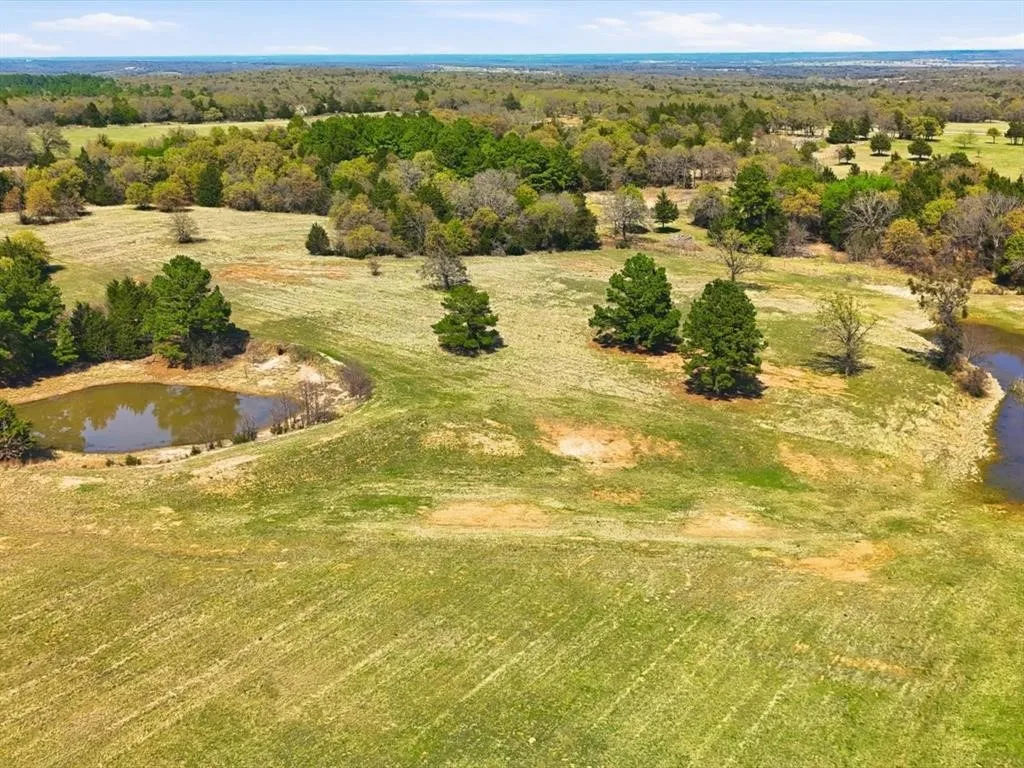 Pasture, stock tank, water shed, with some oaks and cedar in the background