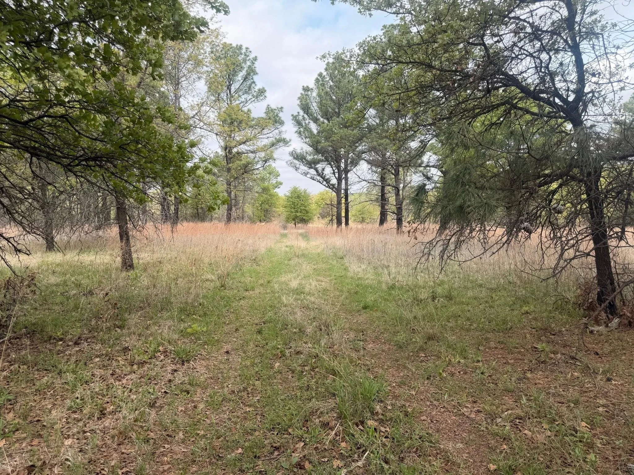 Improved Land For Sale in Wise County , 2548 County Road 2690, Alvord, Texas 76225, 0, 0, Garage spaces, 0 Sqft, built in 1973, mls#21261790, Real Estate Agent in Alvord, Homes For Sale in Wise county, Homes For Sale in Alvord, Realtor in Alvord Texas, Real Estate Brokerage Independent Realty Texas, Luminita Cordes Realtor