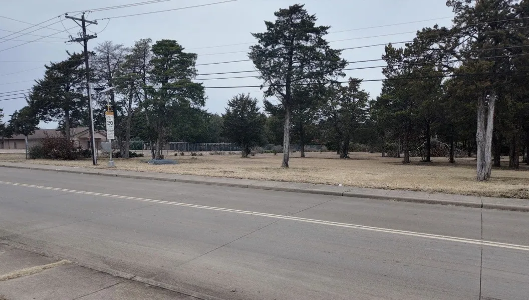 Expansive roadside parcel with a substantial collection of mature evergreen trees