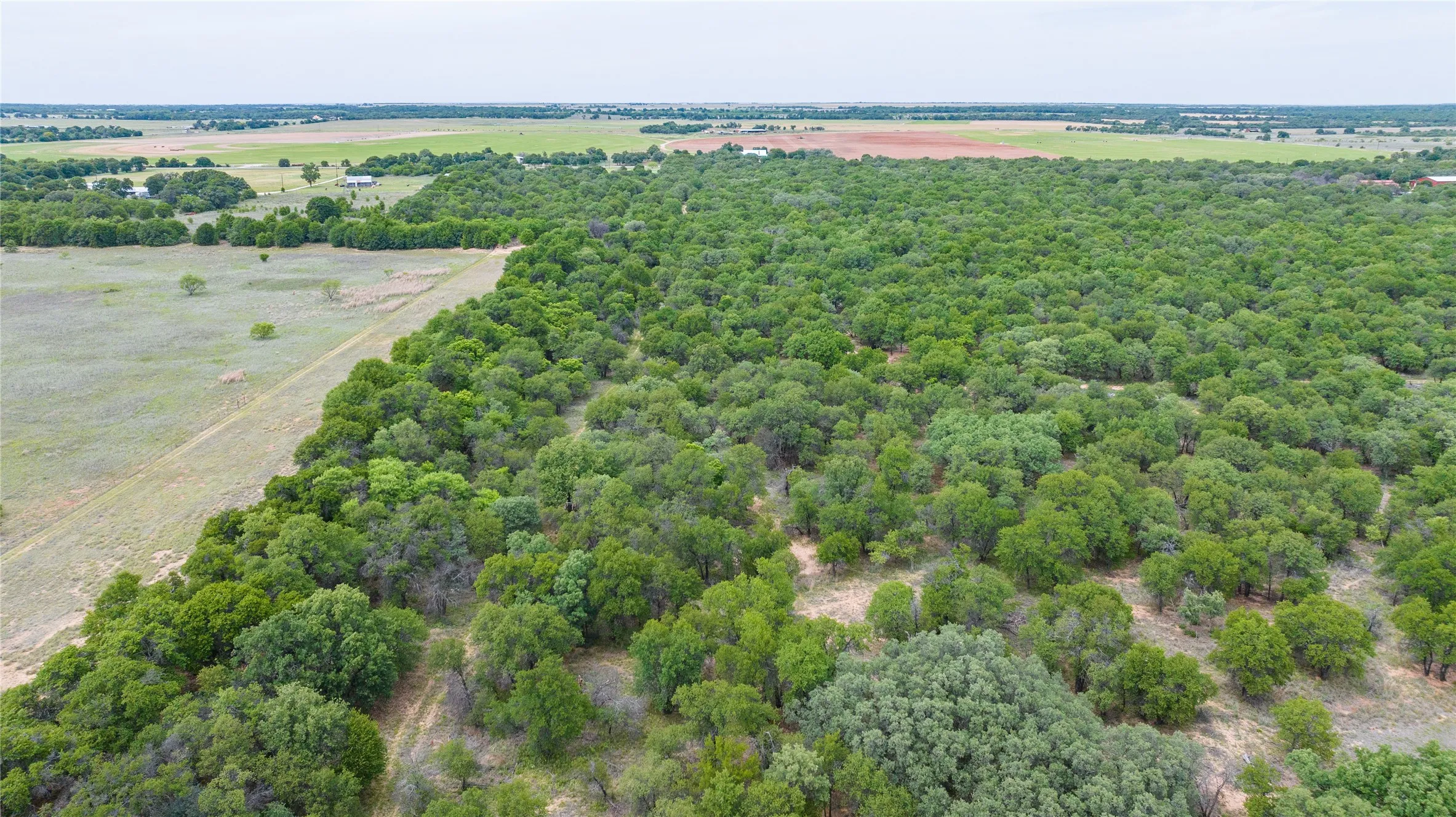 Unimproved Land For Sale in Jones County , TBD FM 3368, Hawley, Texas 79525, 0, 0, Garage spaces, 0 Sqft, built in 0, Price $175,000, mls#21260275, Real Estate Agent in Hawley, Homes For Sale in Jones county, Homes For Sale in Hawley, Realtor in Hawley Texas, Real Estate Brokerage Independent Realty Texas, Luminita Cordes Realtor