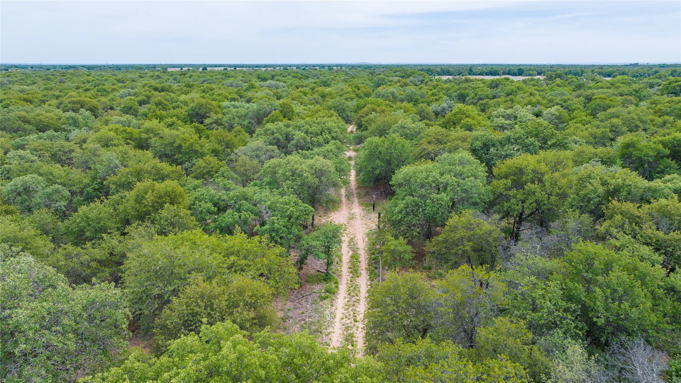 Unimproved Land For Sale in Jones County , TBD FM 3368, Hawley, Texas 79525, 0, 0, Garage spaces, 0 Sqft, built in 0, Price $175,000, mls#21260275, Real Estate Agent in Hawley, Homes For Sale in Jones county, Homes For Sale in Hawley, Realtor in Hawley Texas, Real Estate Brokerage Independent Realty Texas, Luminita Cordes Realtor
