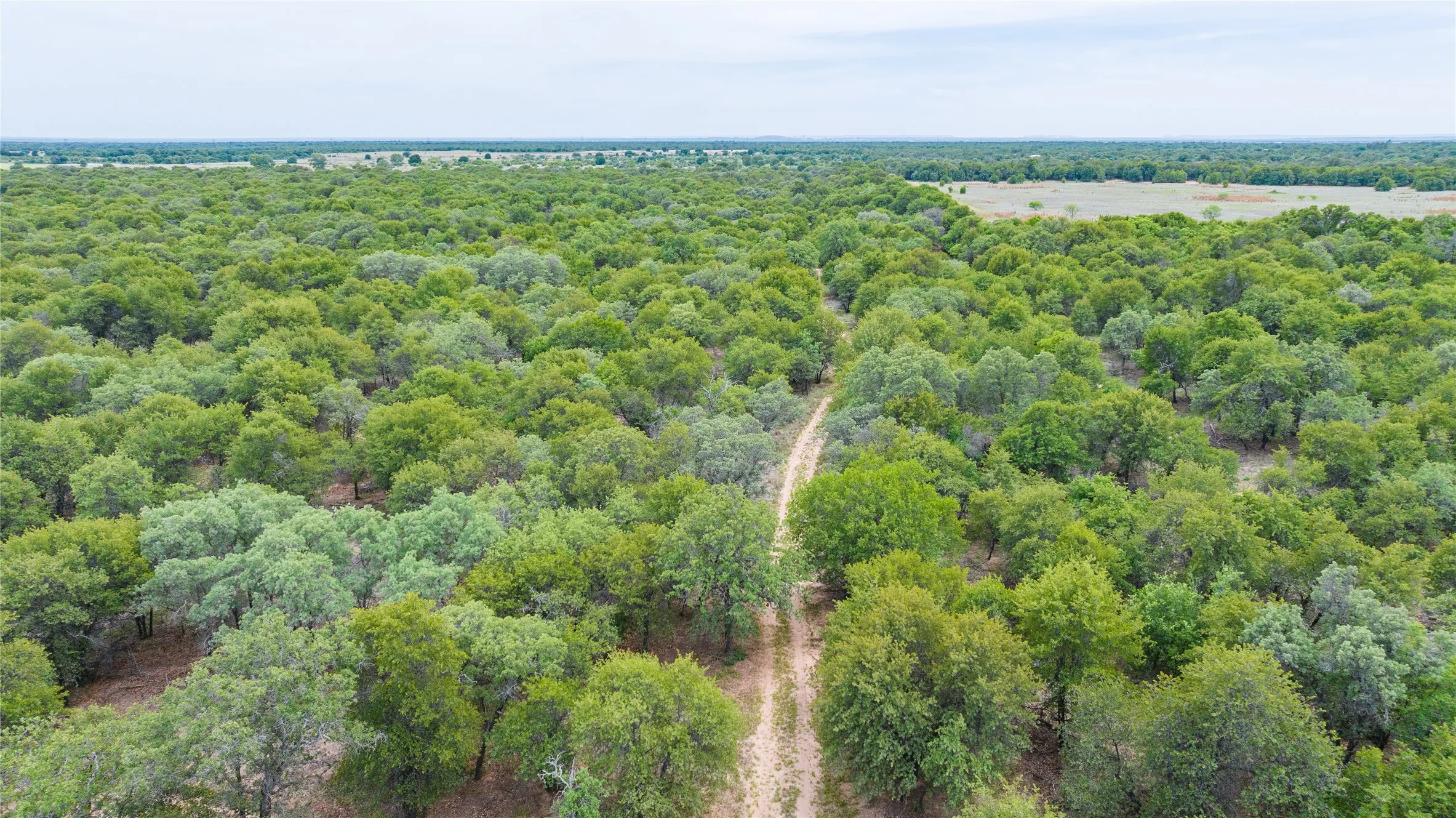 Unimproved Land For Sale in Jones County , TBD FM 3368, Hawley, Texas 79525, 0, 0, Garage spaces, 0 Sqft, built in 0, Price $175,000, mls#21260275, Real Estate Agent in Hawley, Homes For Sale in Jones county, Homes For Sale in Hawley, Realtor in Hawley Texas, Real Estate Brokerage Independent Realty Texas, Luminita Cordes Realtor