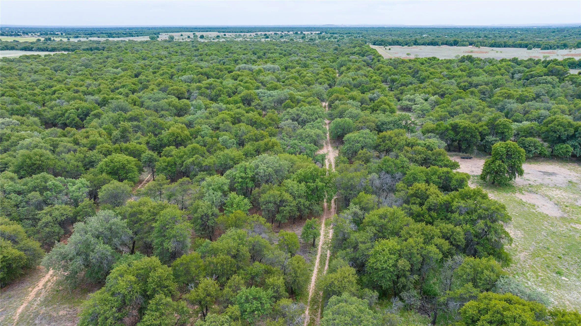 Unimproved Land For Sale in Jones County , TBD FM 3368, Hawley, Texas 79525, 0, 0, Garage spaces, 0 Sqft, built in 0, Price $175,000, mls#21260275, Real Estate Agent in Hawley, Homes For Sale in Jones county, Homes For Sale in Hawley, Realtor in Hawley Texas, Real Estate Brokerage Independent Realty Texas, Luminita Cordes Realtor