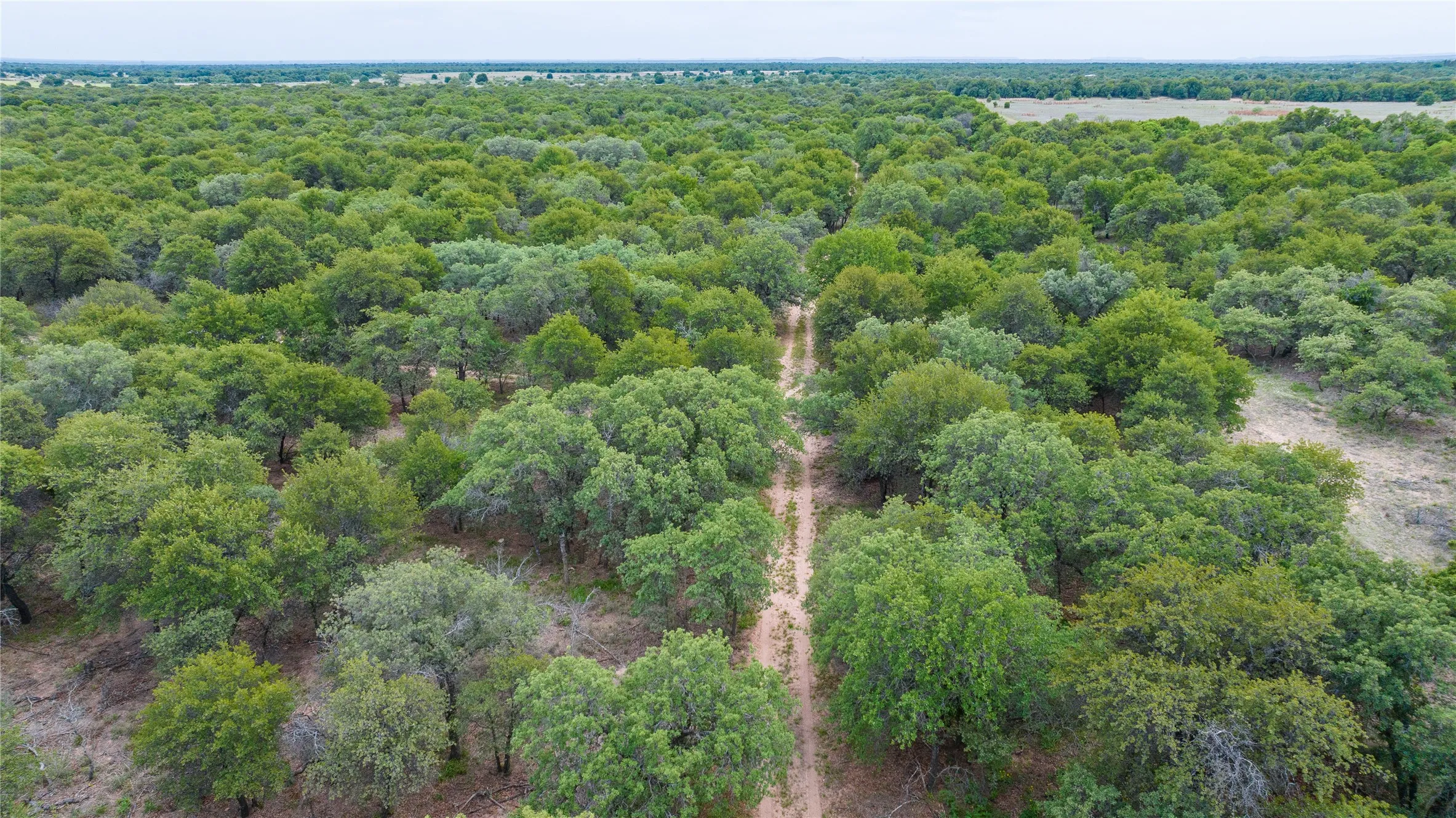 Unimproved Land For Sale in Jones County , TBD FM 3368, Hawley, Texas 79525, 0, 0, Garage spaces, 0 Sqft, built in 0, Price $175,000, mls#21260275, Real Estate Agent in Hawley, Homes For Sale in Jones county, Homes For Sale in Hawley, Realtor in Hawley Texas, Real Estate Brokerage Independent Realty Texas, Luminita Cordes Realtor