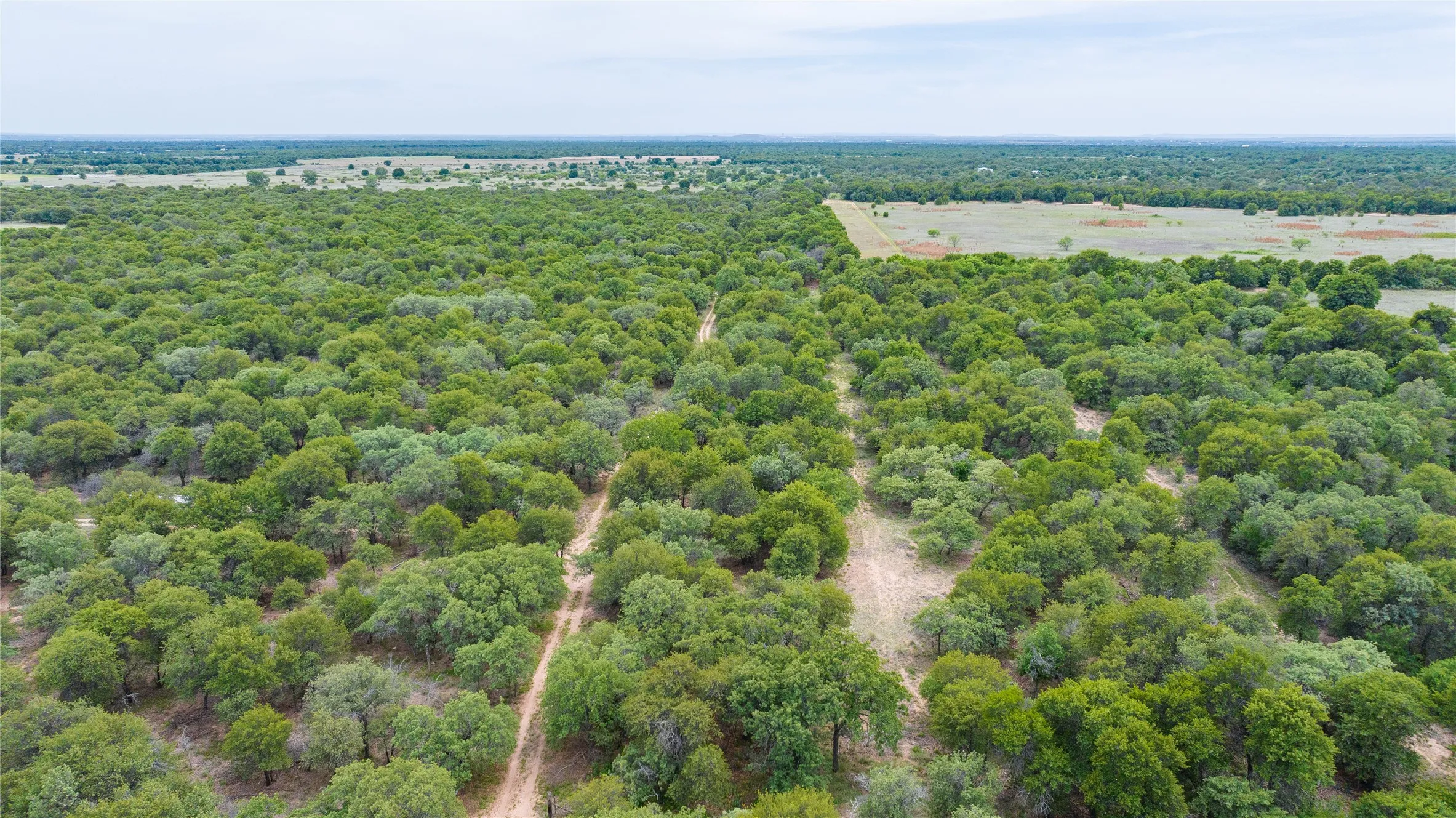 Unimproved Land For Sale in Jones County , TBD FM 3368, Hawley, Texas 79525, 0, 0, Garage spaces, 0 Sqft, built in 0, Price $175,000, mls#21260275, Real Estate Agent in Hawley, Homes For Sale in Jones county, Homes For Sale in Hawley, Realtor in Hawley Texas, Real Estate Brokerage Independent Realty Texas, Luminita Cordes Realtor