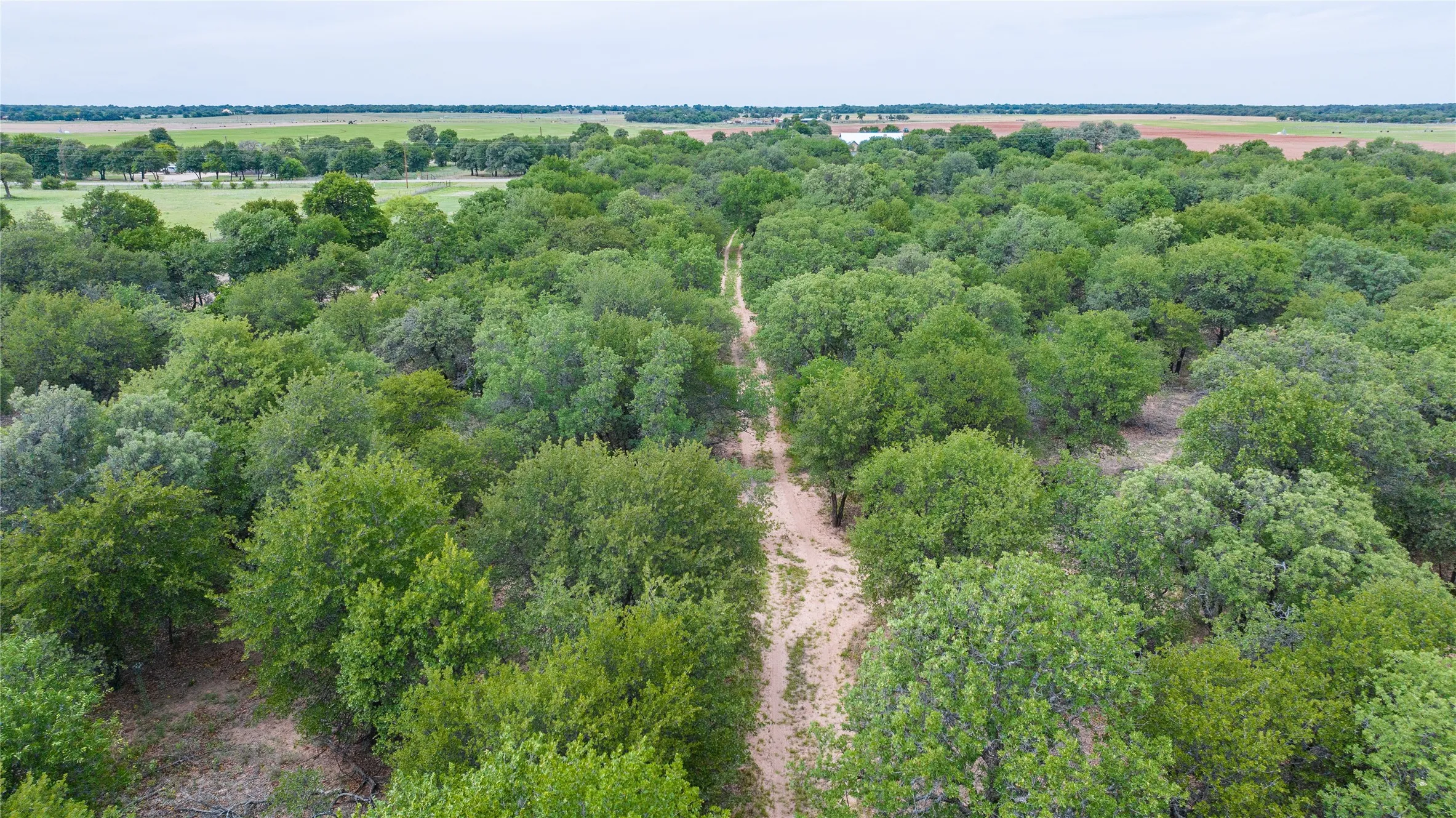 Unimproved Land For Sale in Jones County , TBD FM 3368, Hawley, Texas 79525, 0, 0, Garage spaces, 0 Sqft, built in 0, Price $175,000, mls#21260275, Real Estate Agent in Hawley, Homes For Sale in Jones county, Homes For Sale in Hawley, Realtor in Hawley Texas, Real Estate Brokerage Independent Realty Texas, Luminita Cordes Realtor