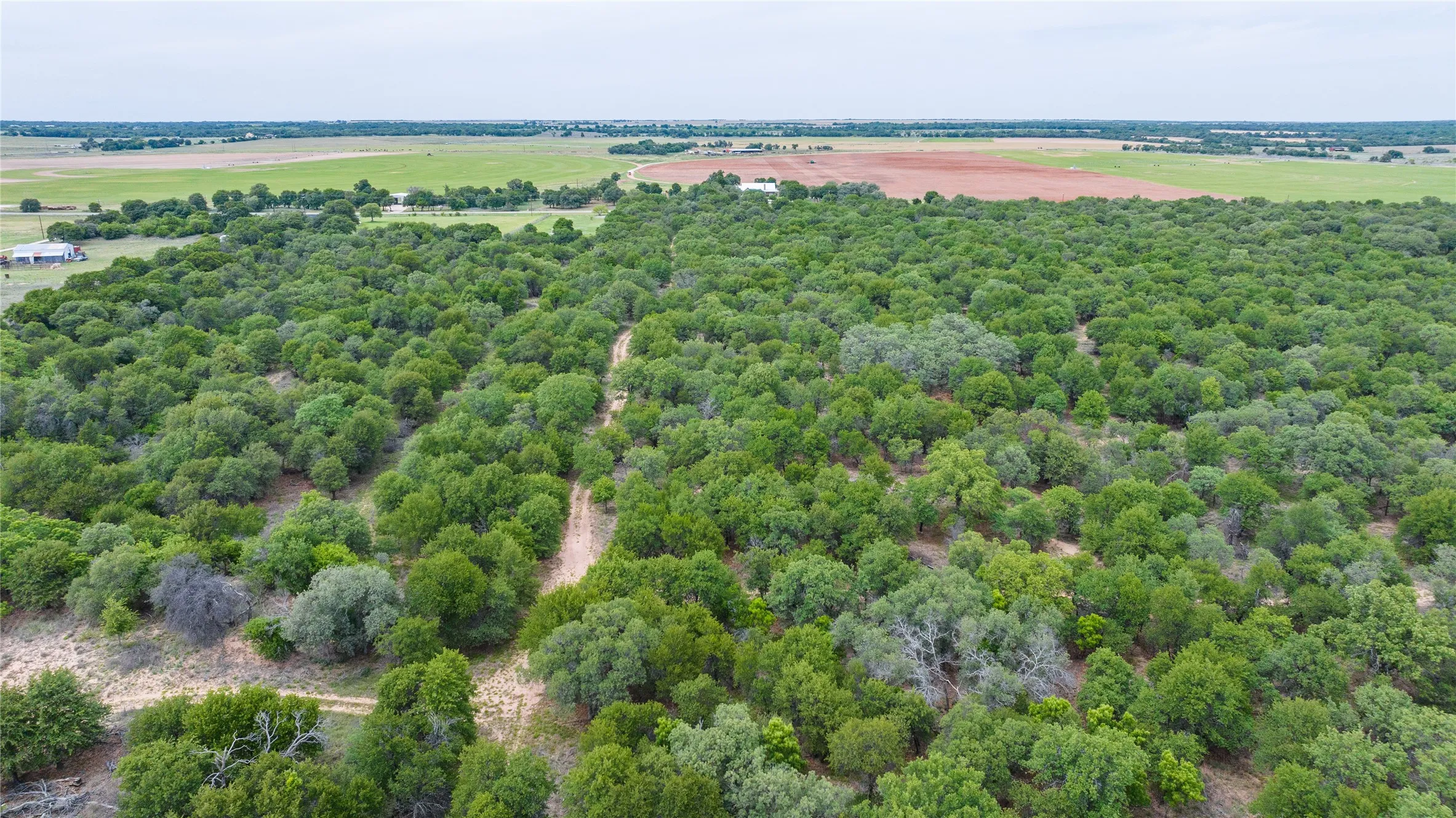 Unimproved Land For Sale in Jones County , TBD FM 3368, Hawley, Texas 79525, 0, 0, Garage spaces, 0 Sqft, built in 0, Price $175,000, mls#21260275, Real Estate Agent in Hawley, Homes For Sale in Jones county, Homes For Sale in Hawley, Realtor in Hawley Texas, Real Estate Brokerage Independent Realty Texas, Luminita Cordes Realtor