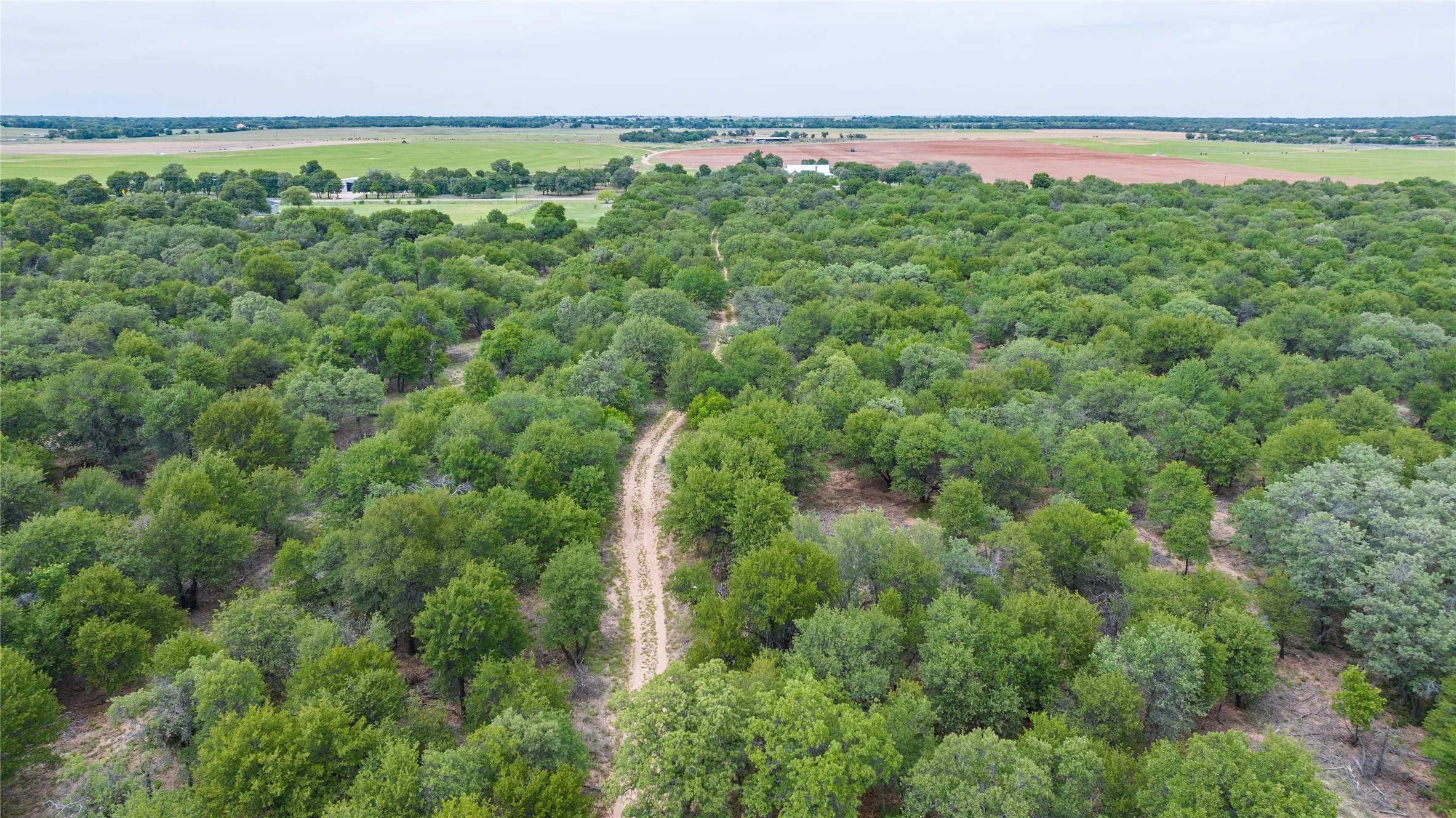Unimproved Land For Sale in Jones County , TBD FM 3368, Hawley, Texas 79525, 0, 0, Garage spaces, 0 Sqft, built in 0, Price $175,000, mls#21260275, Real Estate Agent in Hawley, Homes For Sale in Jones county, Homes For Sale in Hawley, Realtor in Hawley Texas, Real Estate Brokerage Independent Realty Texas, Luminita Cordes Realtor