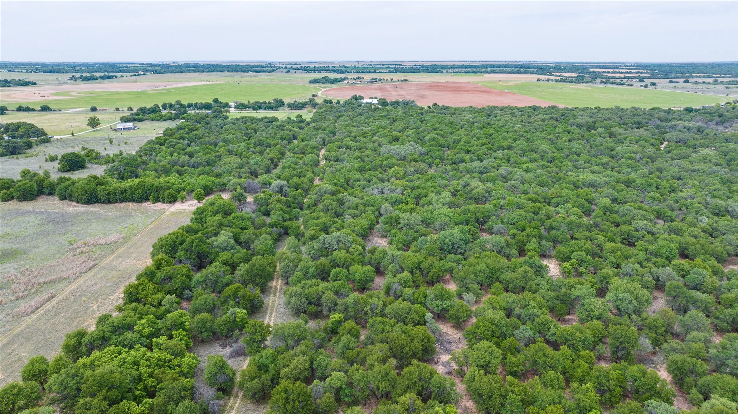 Unimproved Land For Sale in Jones County , TBD FM 3368, Hawley, Texas 79525, 0, 0, Garage spaces, 0 Sqft, built in 0, Price $175,000, mls#21260275, Real Estate Agent in Hawley, Homes For Sale in Jones county, Homes For Sale in Hawley, Realtor in Hawley Texas, Real Estate Brokerage Independent Realty Texas, Luminita Cordes Realtor